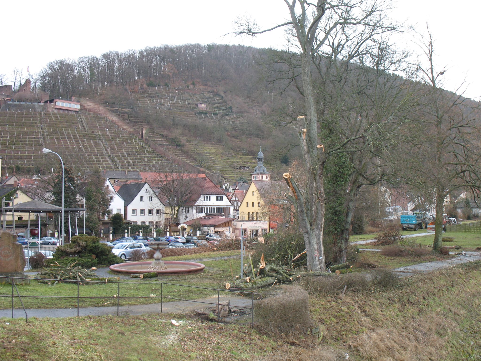 Baumfällarbeiten am 23.02.2010