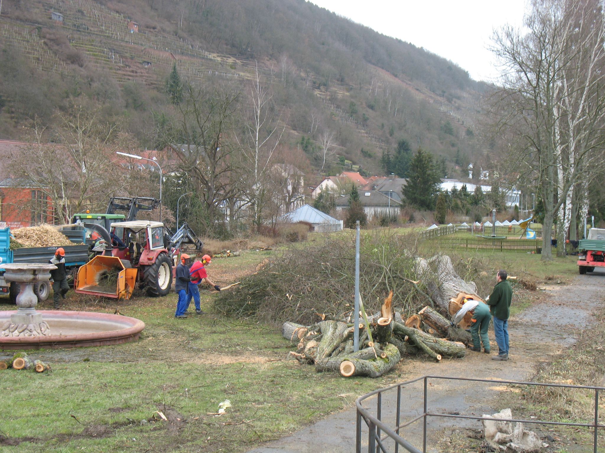 Baumfällarbeiten am 23.02.2010