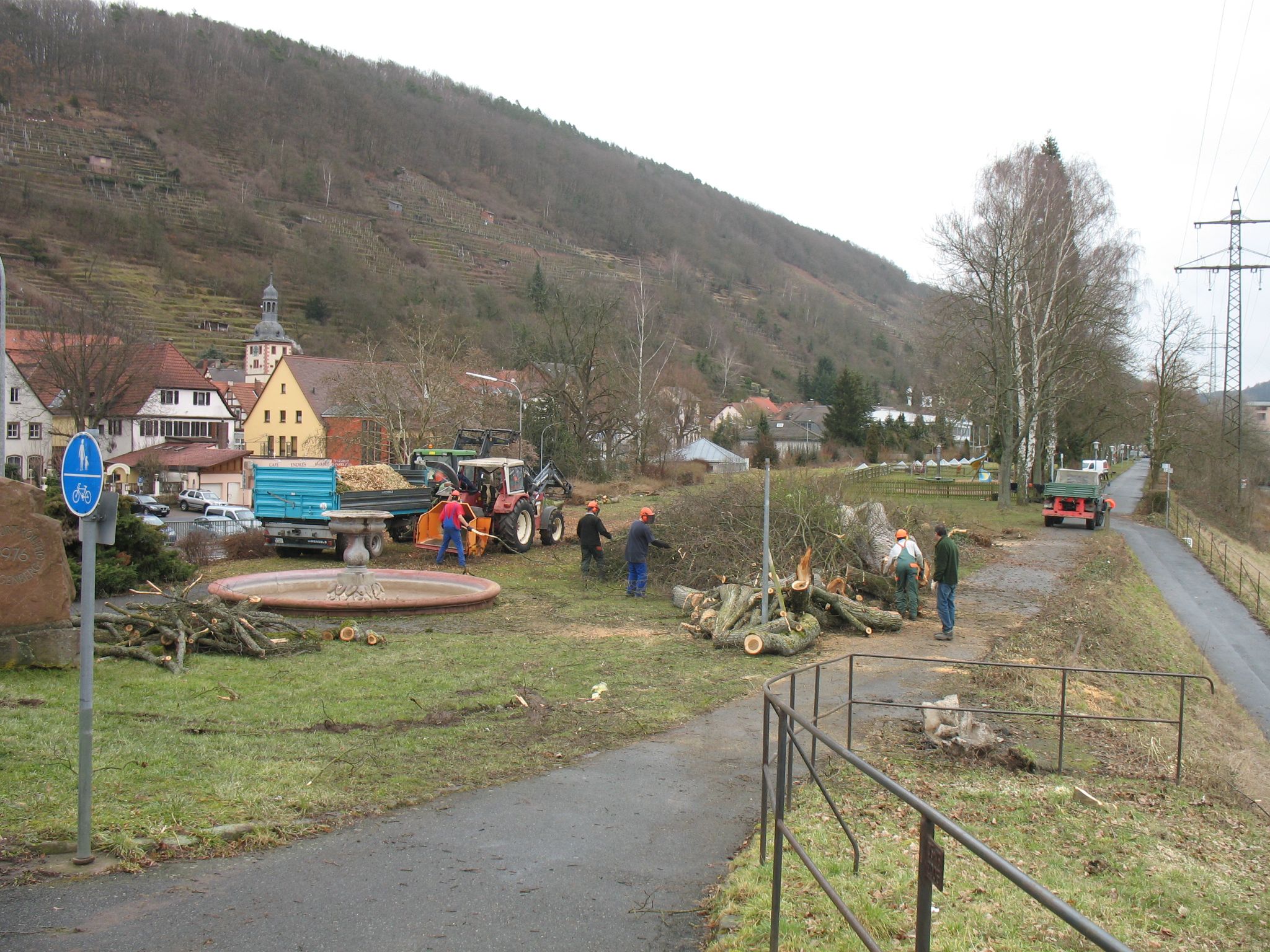 Baumfällarbeiten am 23.02.2010