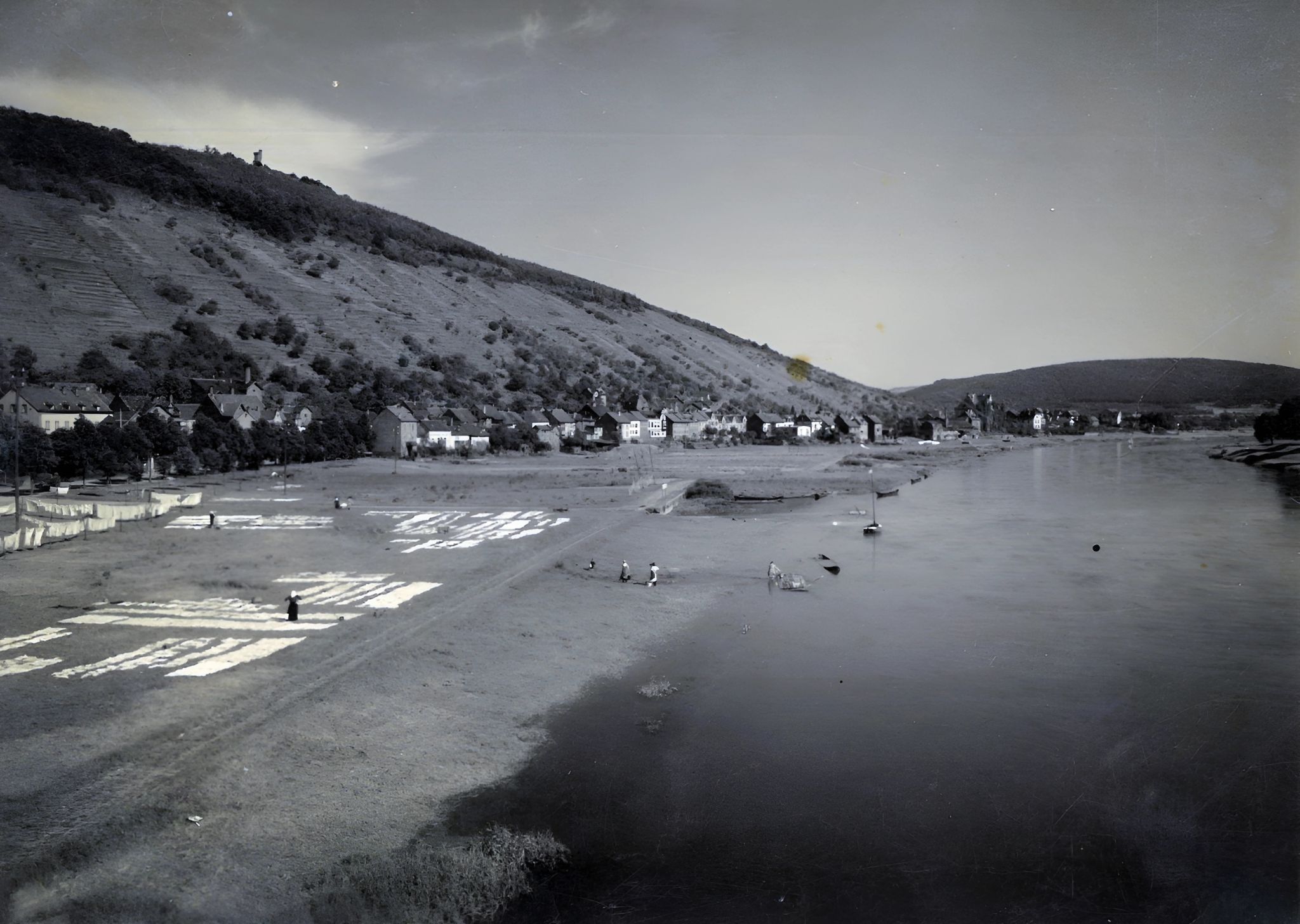 Die "Bleichwiese" am Klingenberger Mainufer vor den Toren der Stadt