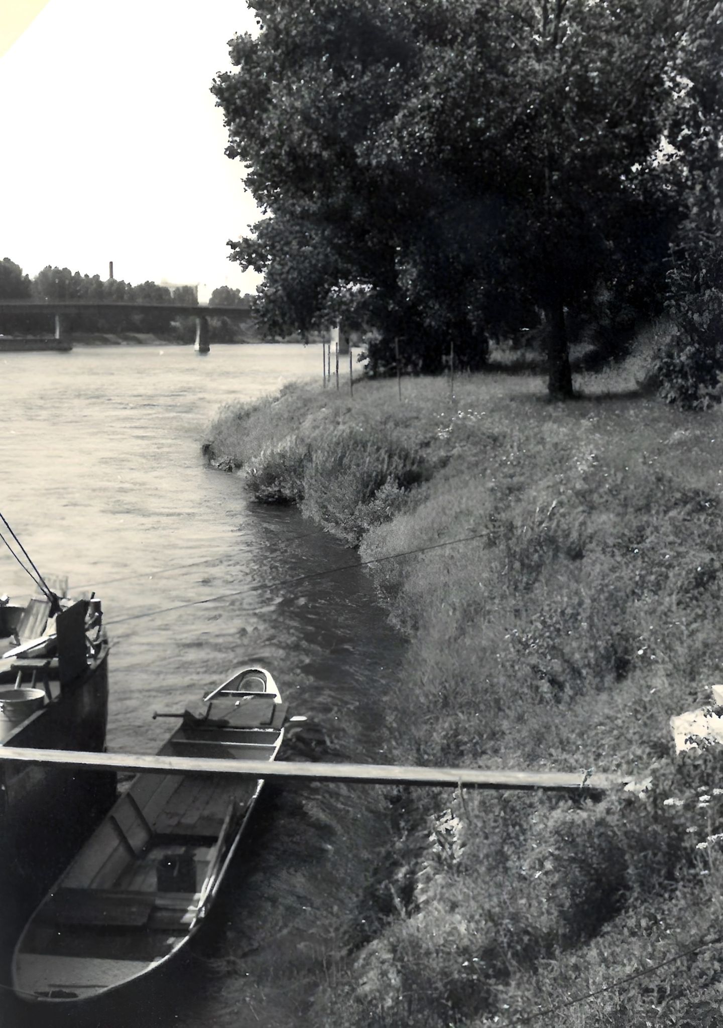 Bote am Main nördlich des Kraftwerks