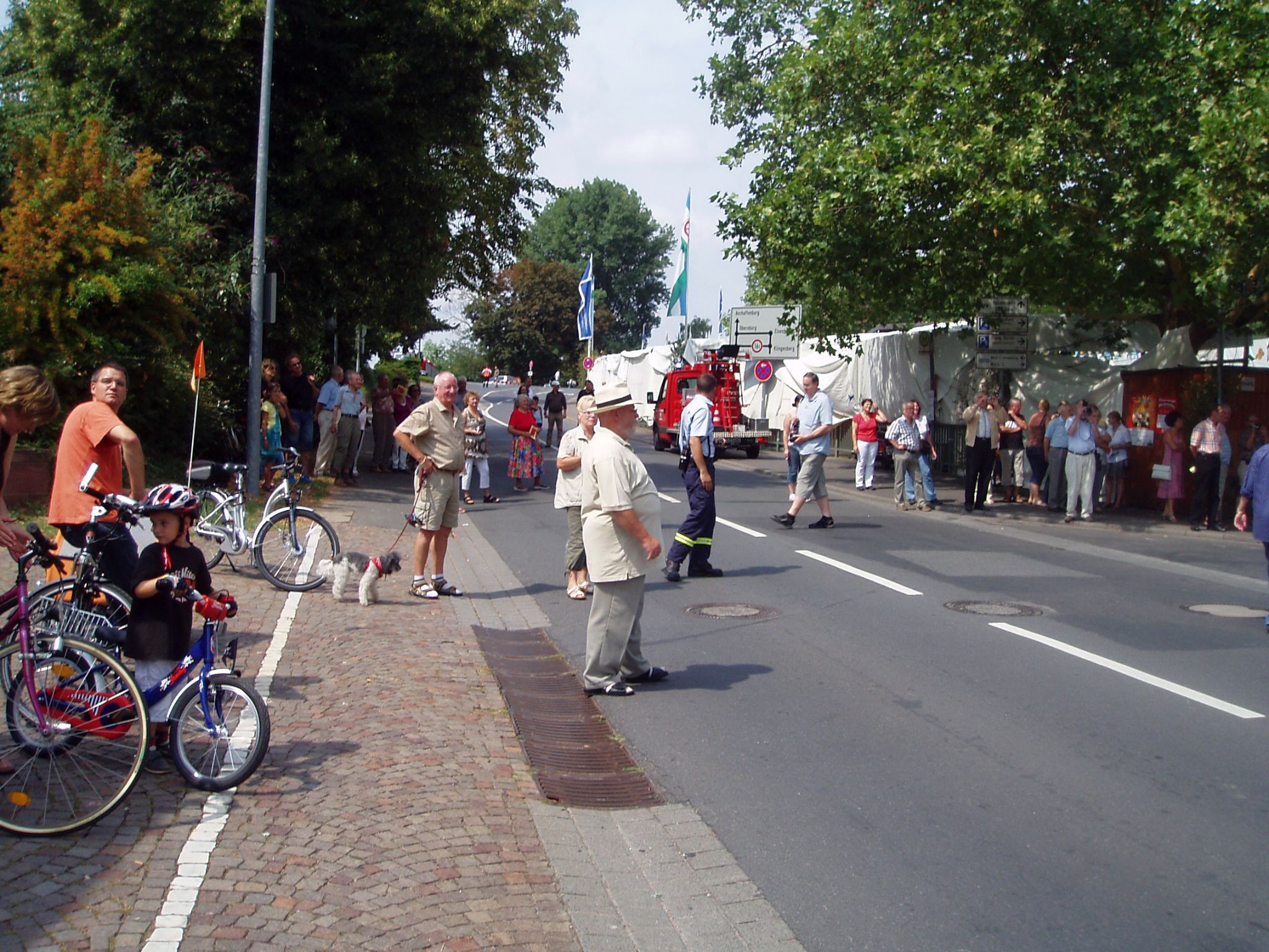 Jubiläumsfestzug 100 Jahre Weinbauverein