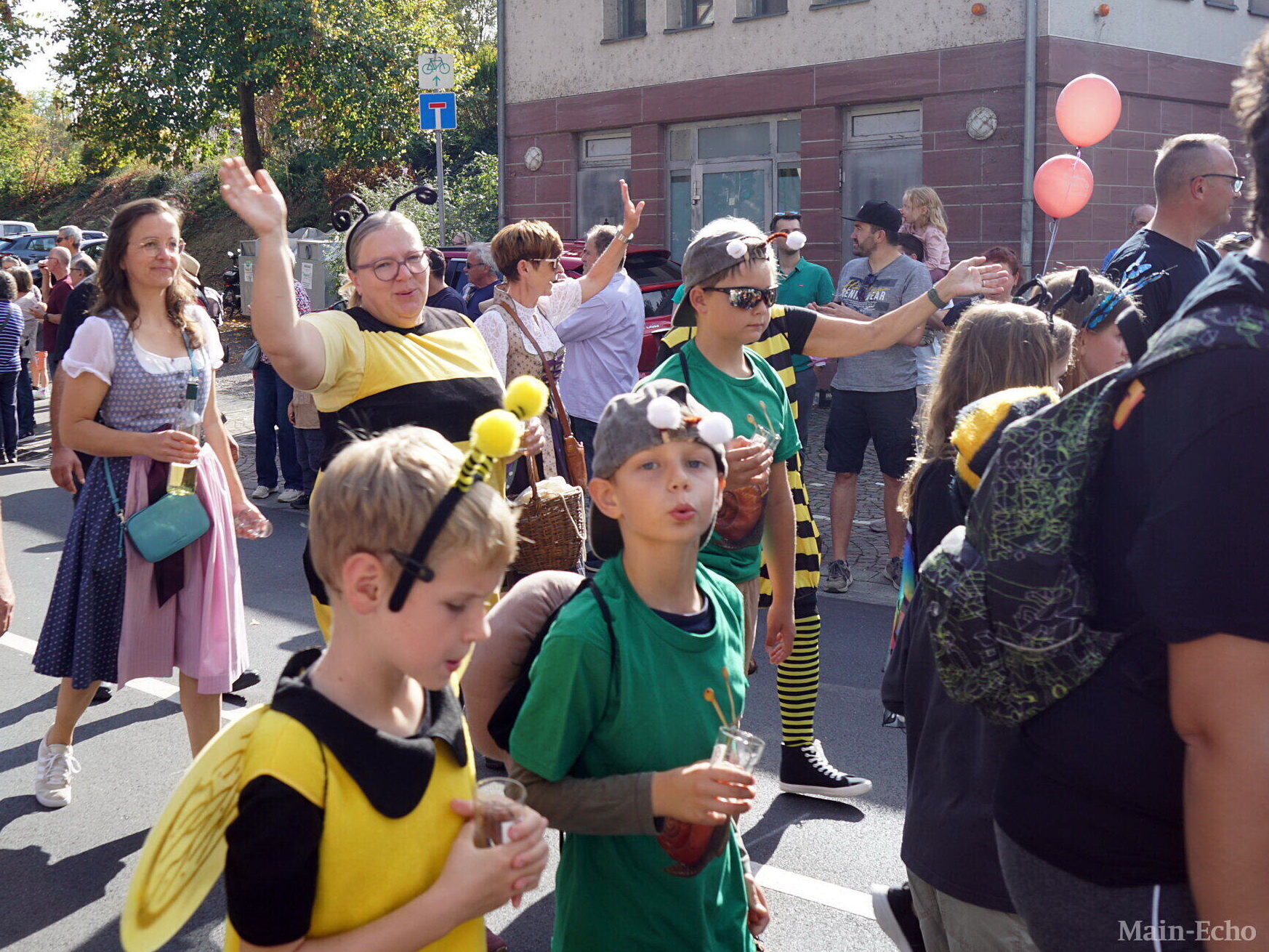 Der Weinbauverein Klingenberg 1909 e.V.