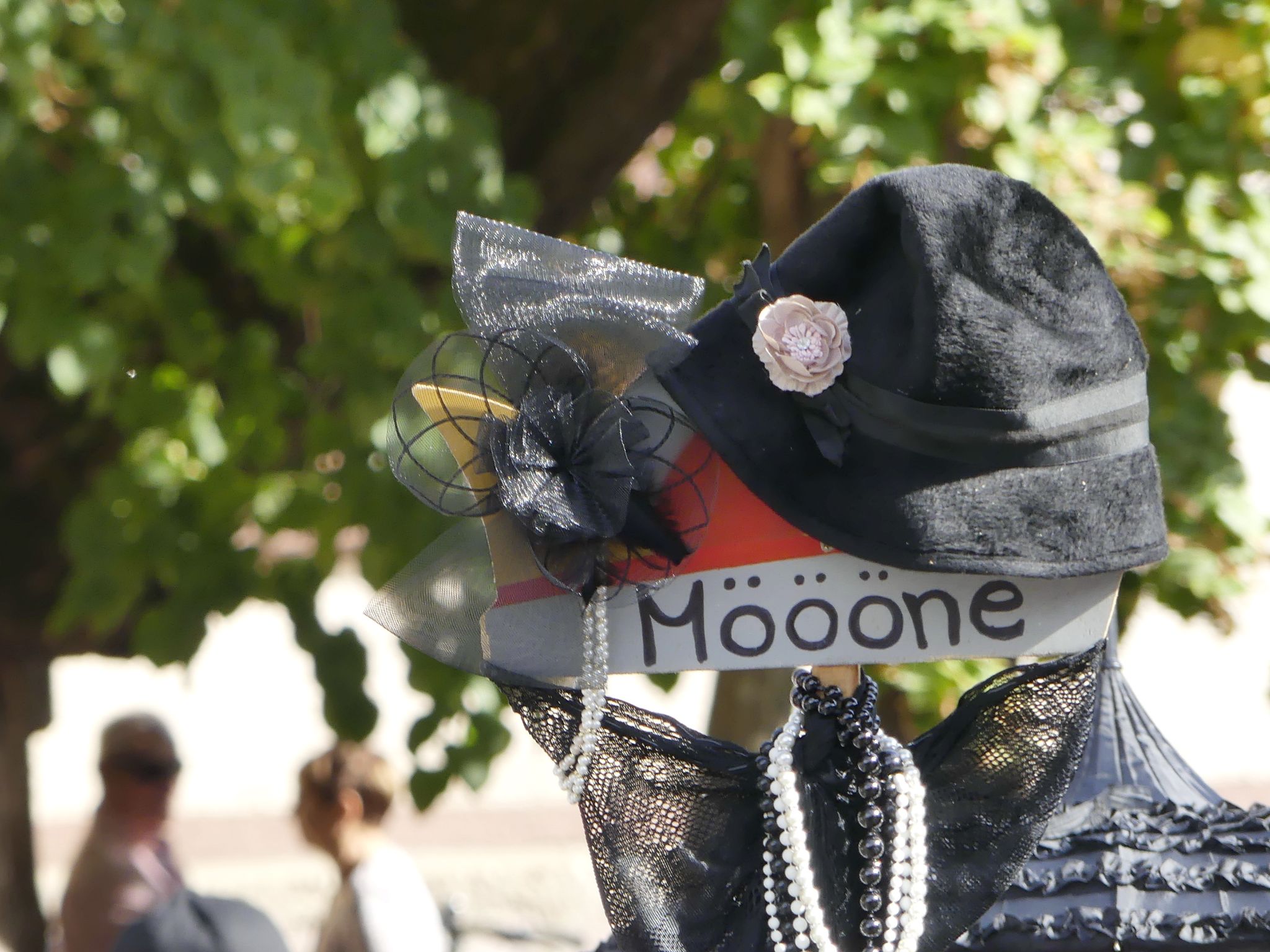 29 310 kh Moone Roellfeld 20261004