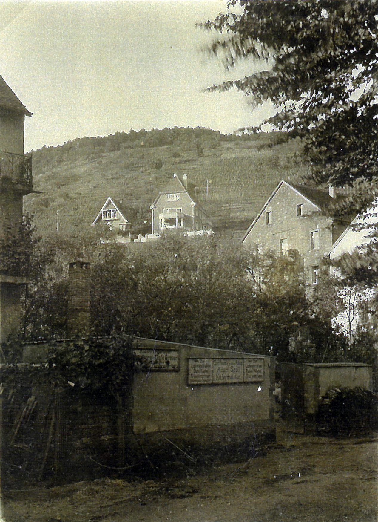 Blick von der Schlucht zum Hohberg