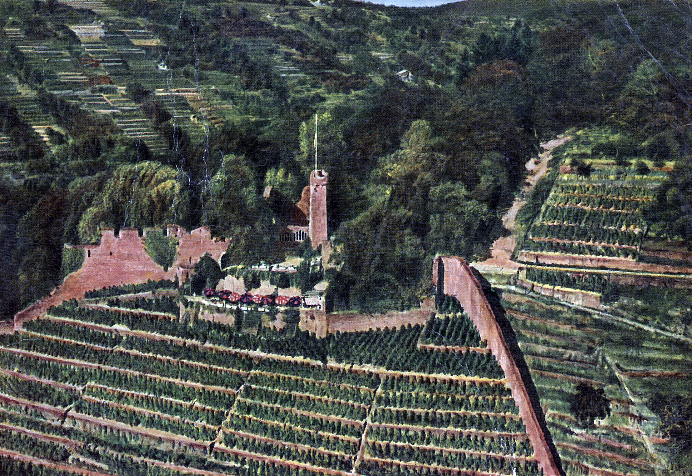 Ansichtskarte der Burgruine um 1945