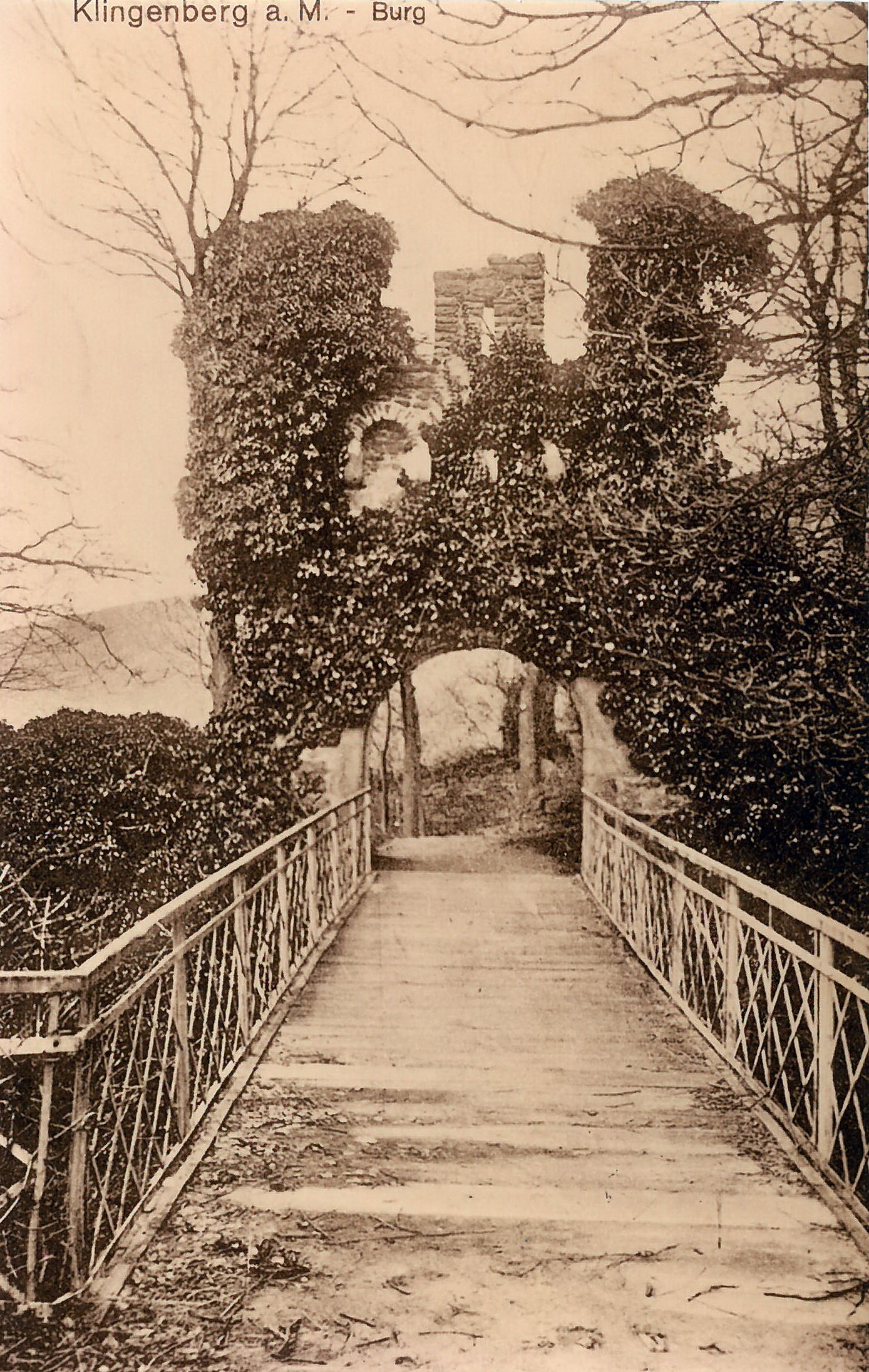 Ansichtskarte der Burgruine 1920er Jahre