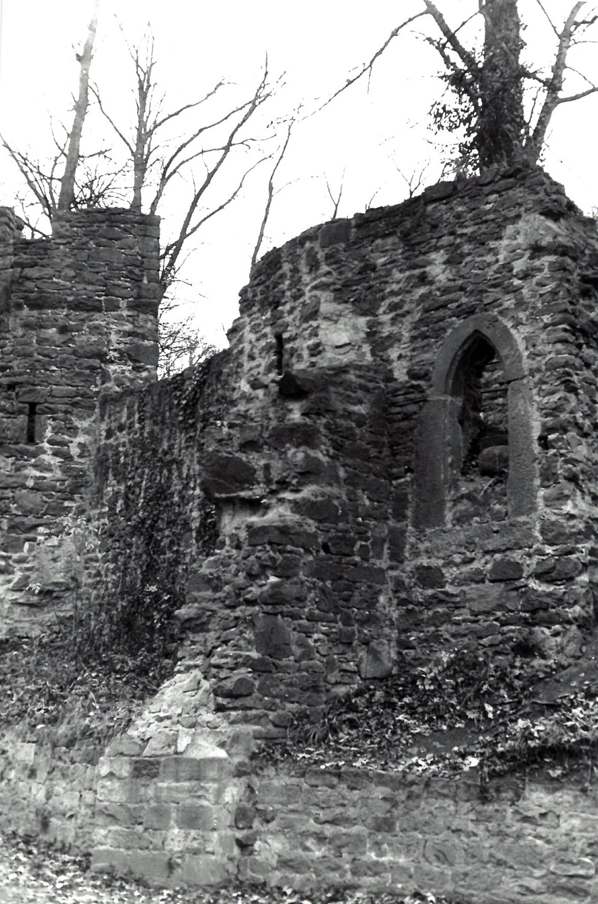 Die südliche Burgmauer