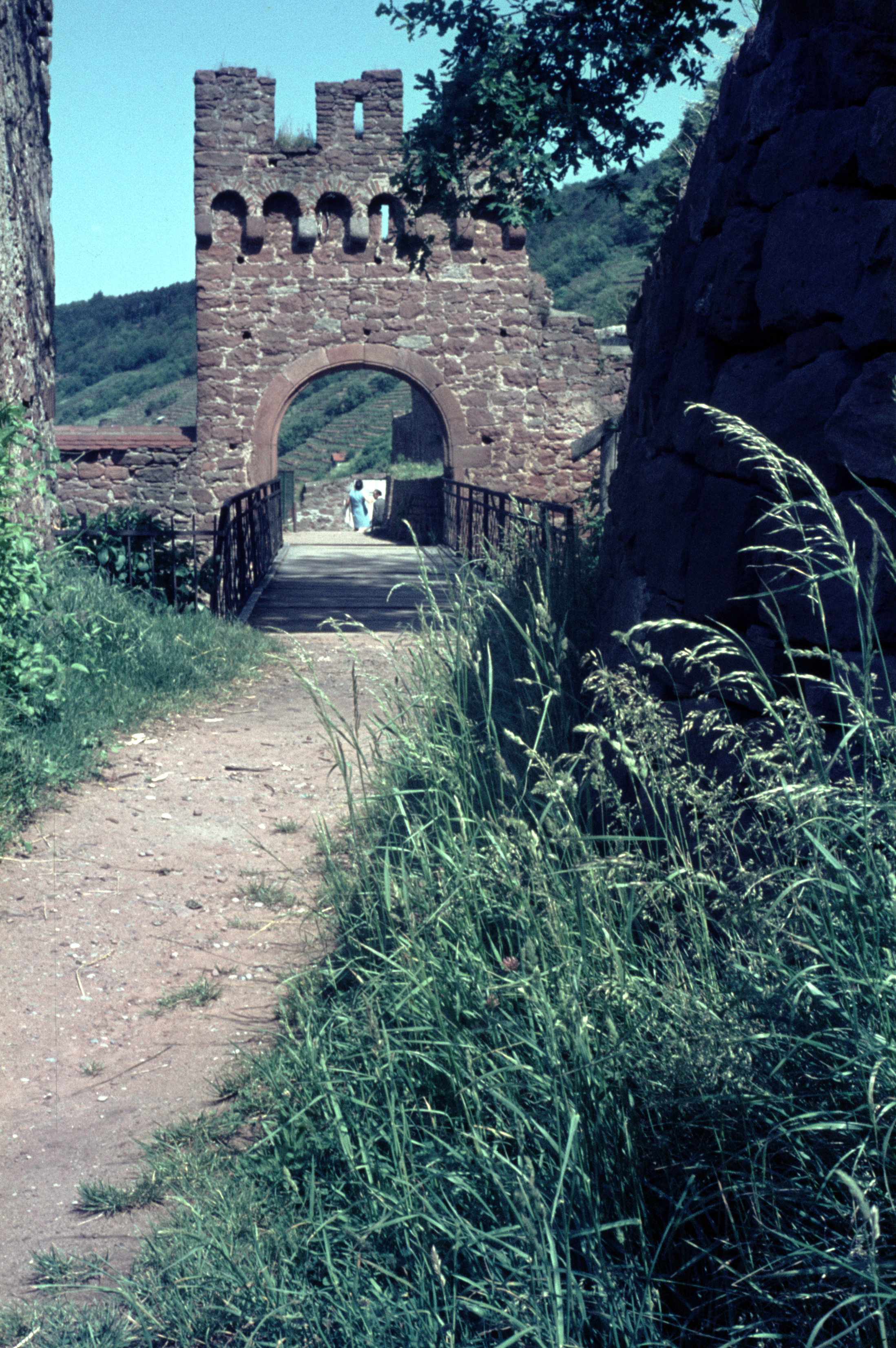 Eingangsweg zur Burgruine