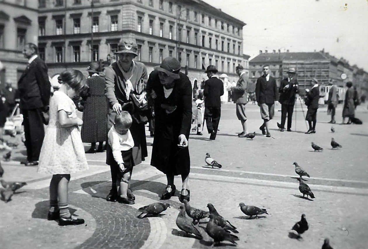 Beim Taubenfüttern