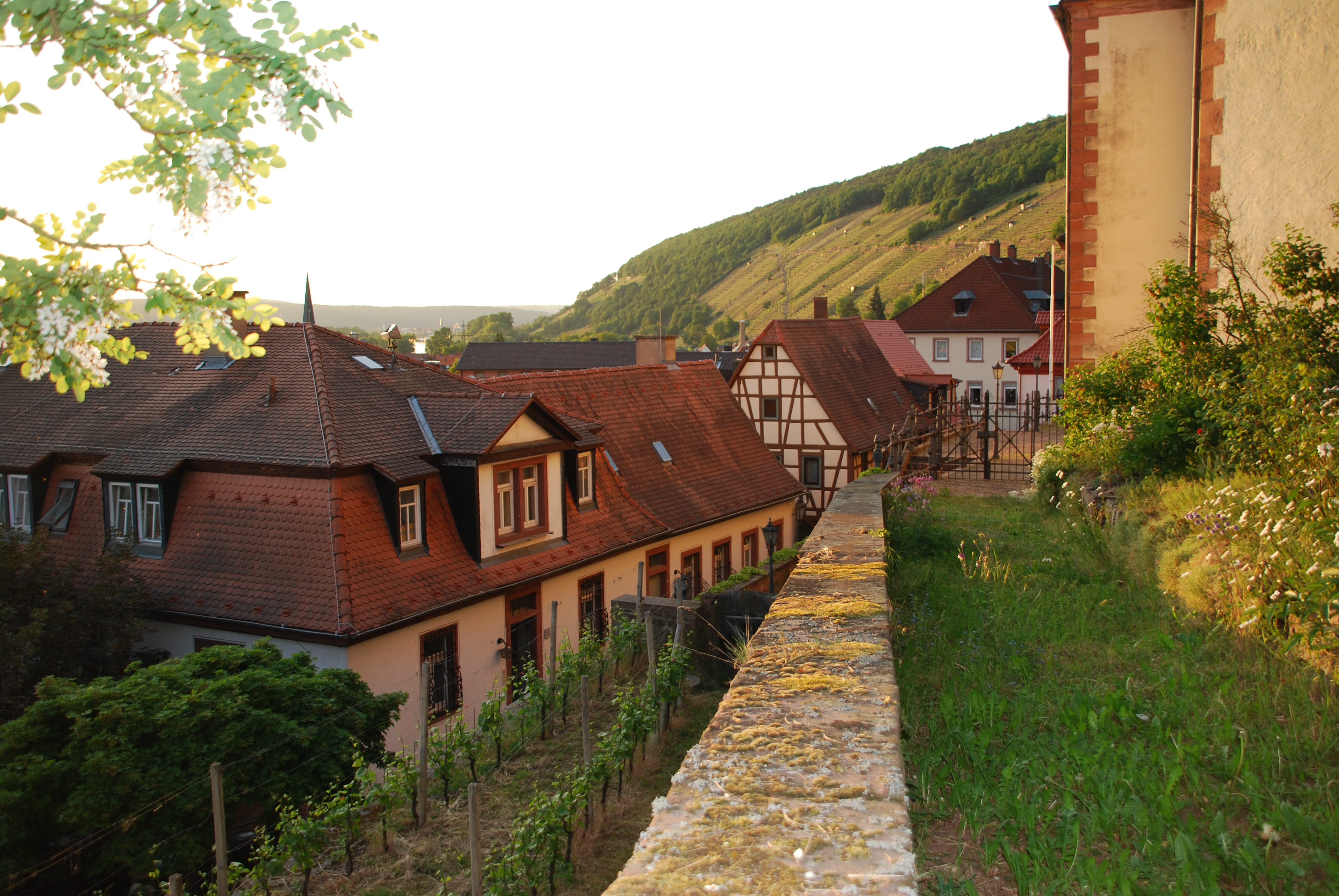 Blick vom Pfarrgarten auf das Rentamt