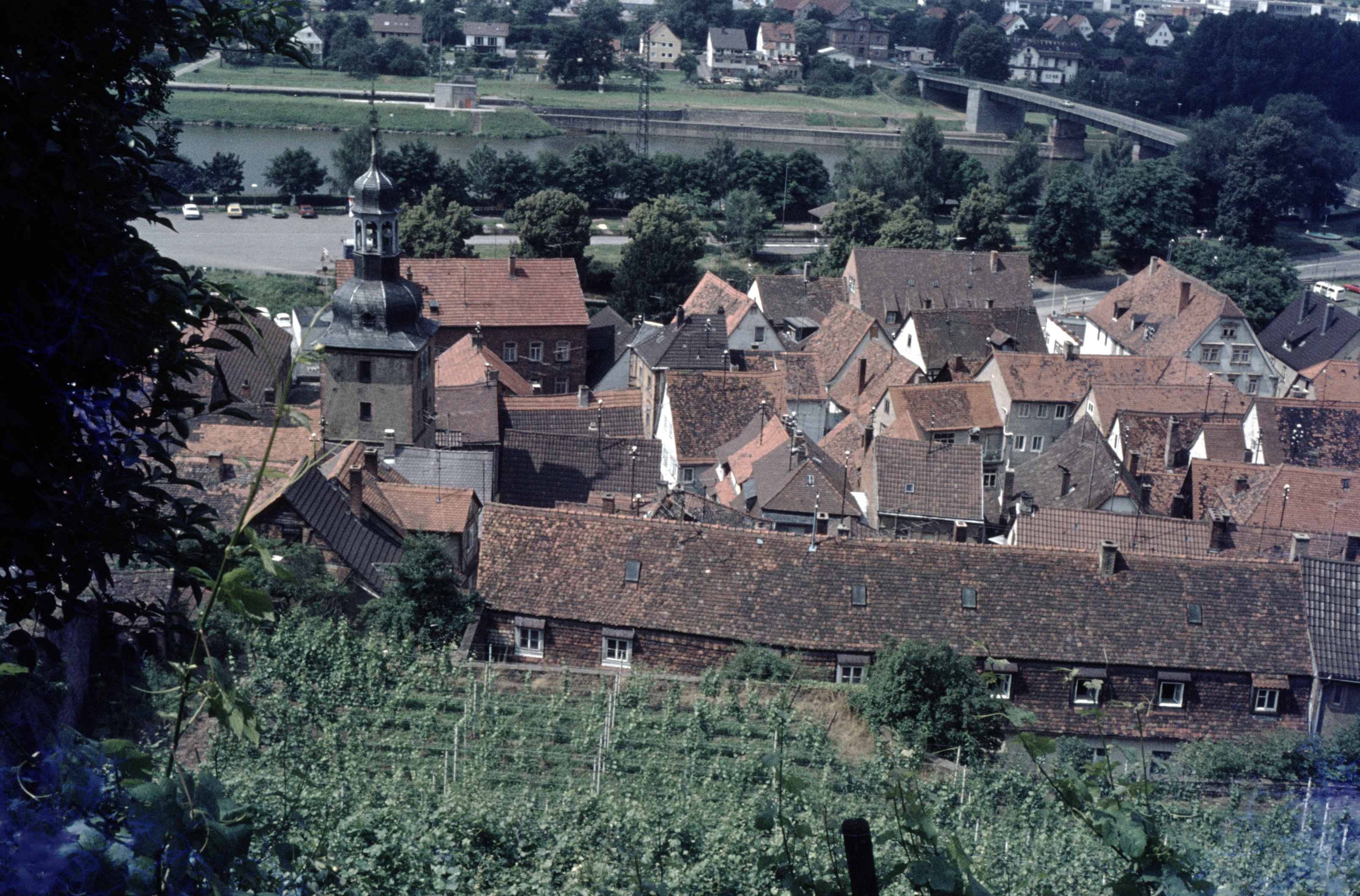 Blick vom Schloss-Weinberg auf die Zehnscheuer