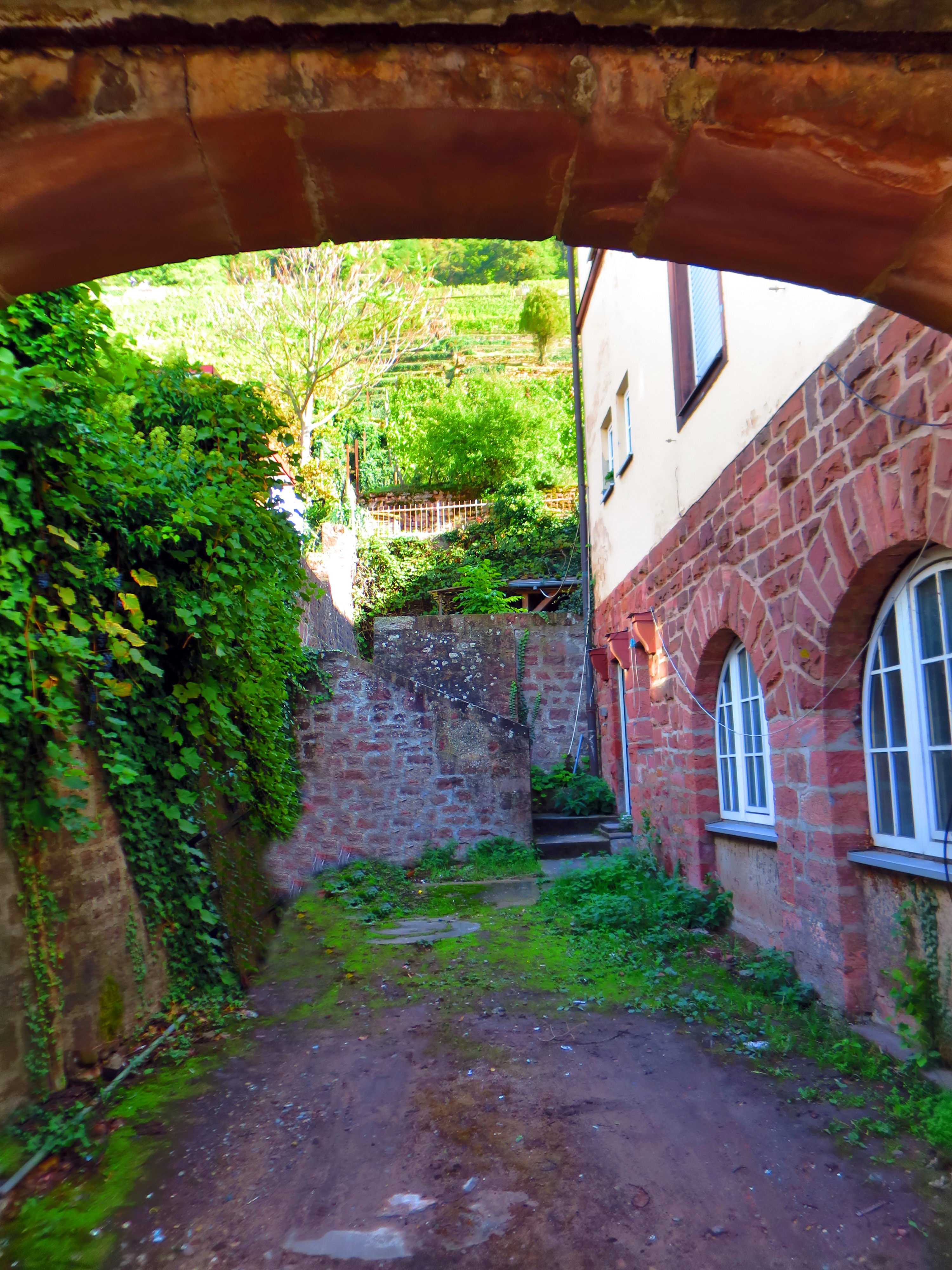 Hof an der Nordseite des alten Forstamtes