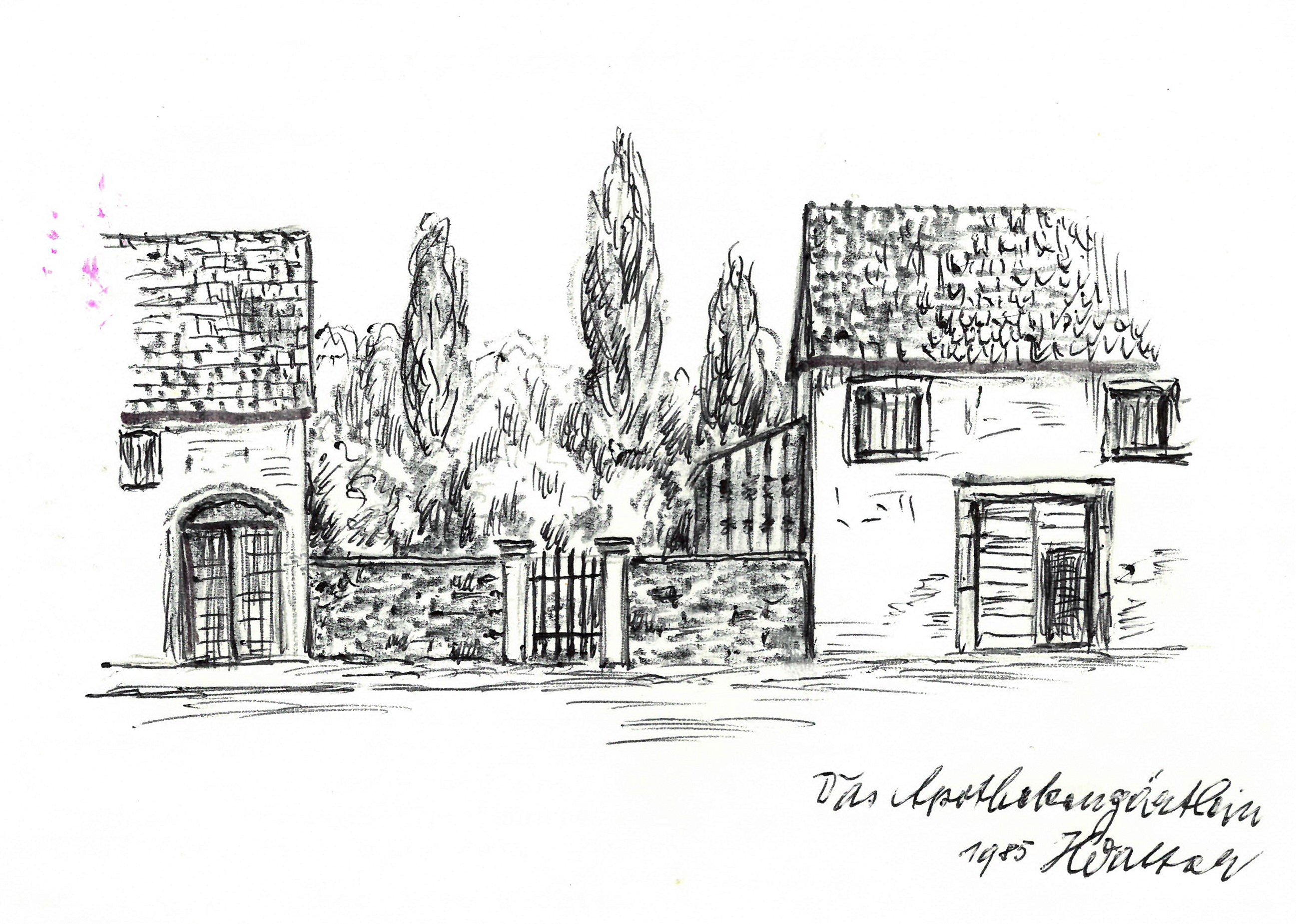 Das Apothekergärtchen