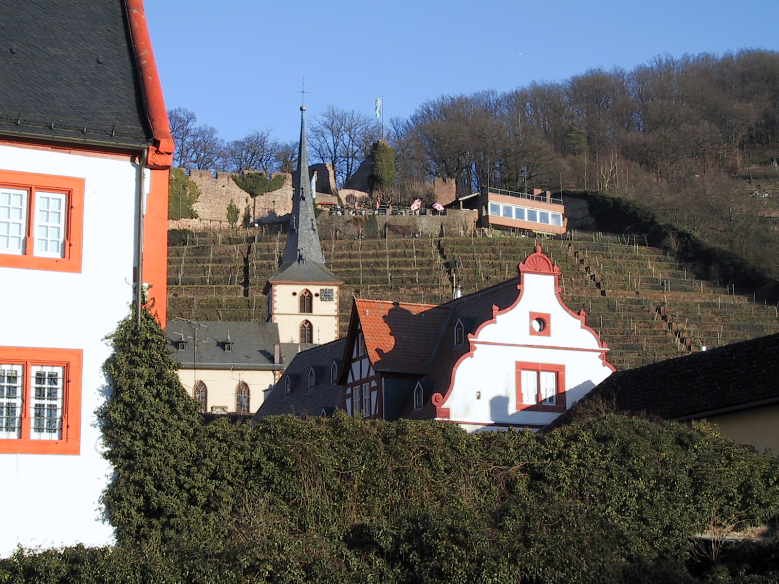 Bilck vom Winzerfestplatz auf die Clingenburg