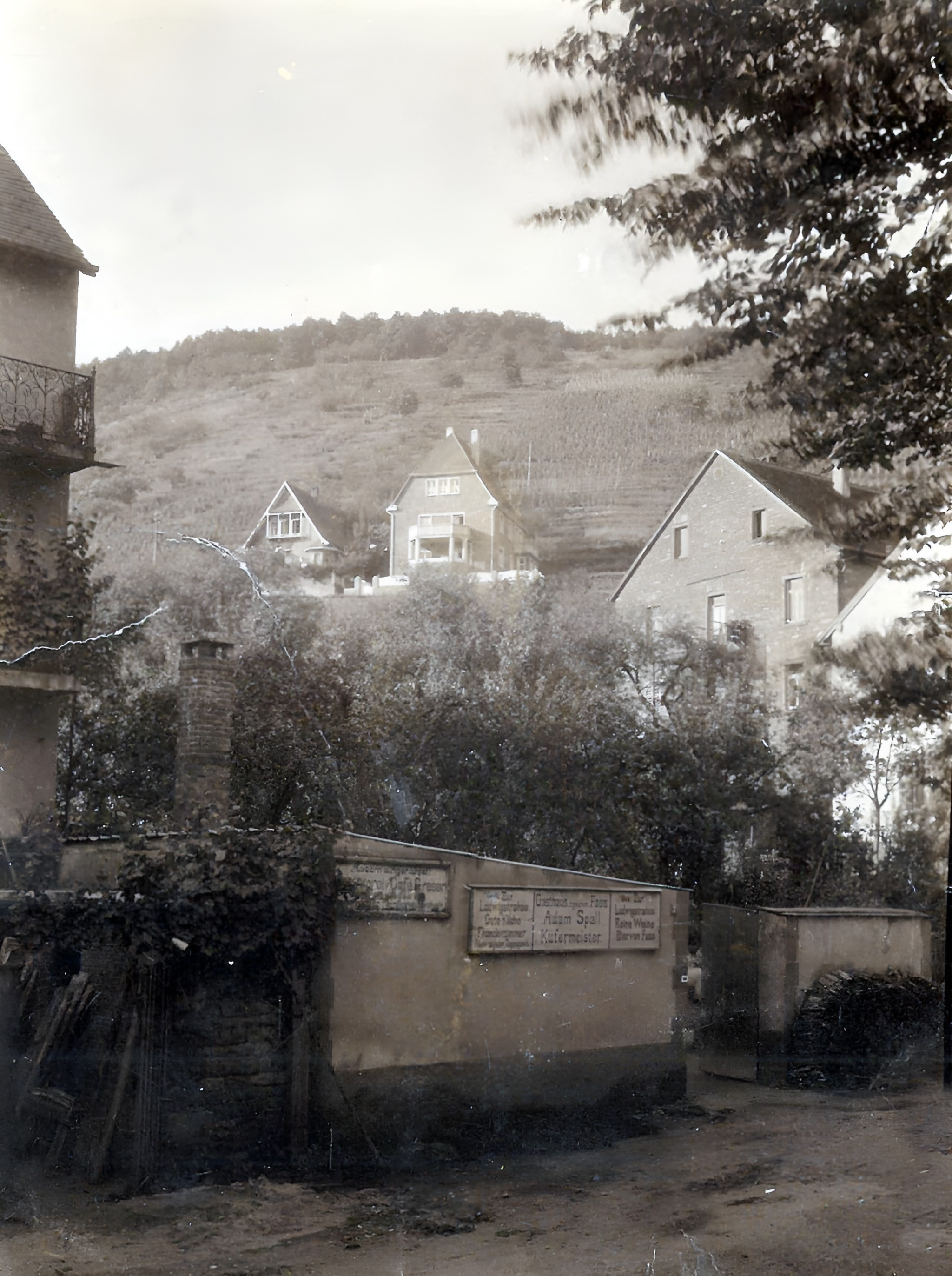 Blick vom Eingang der Schlucht zum Hohberg um 1950