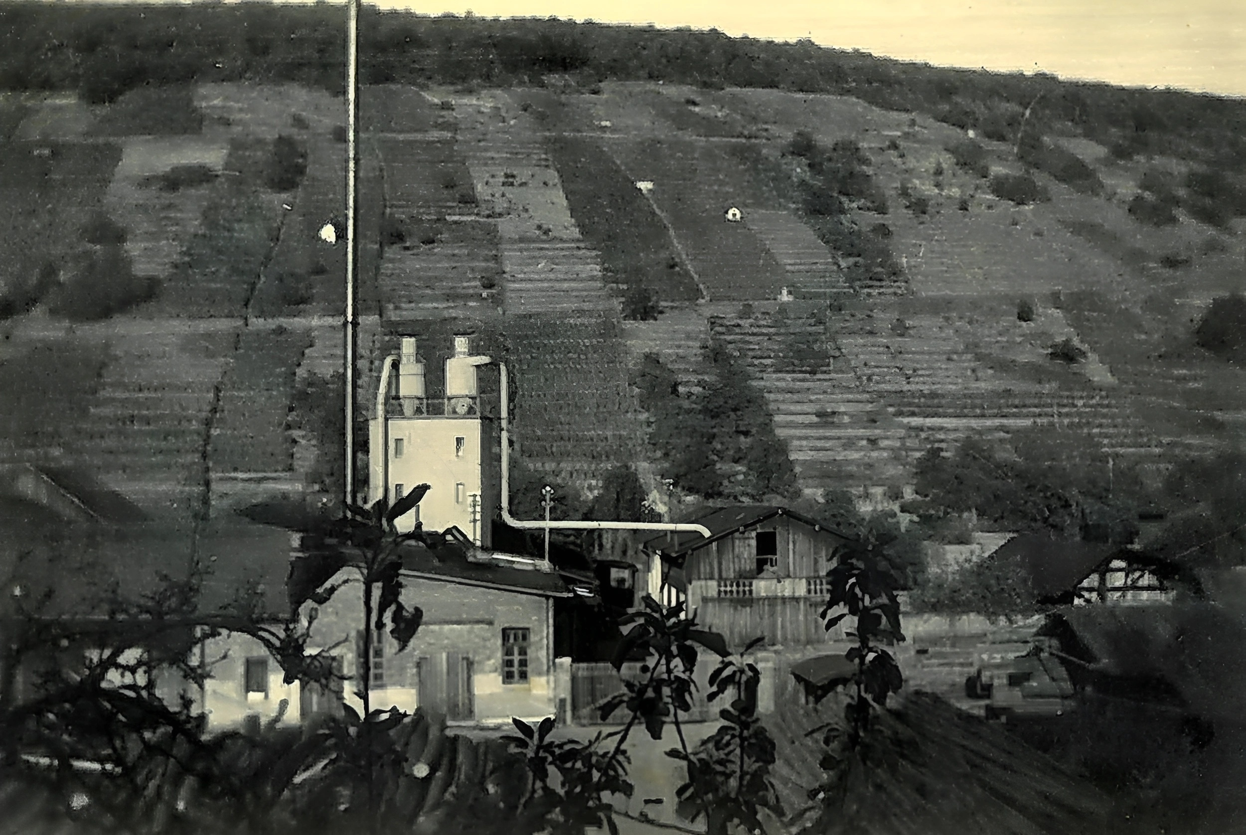 Das Sägewerk Ühlein um 1946