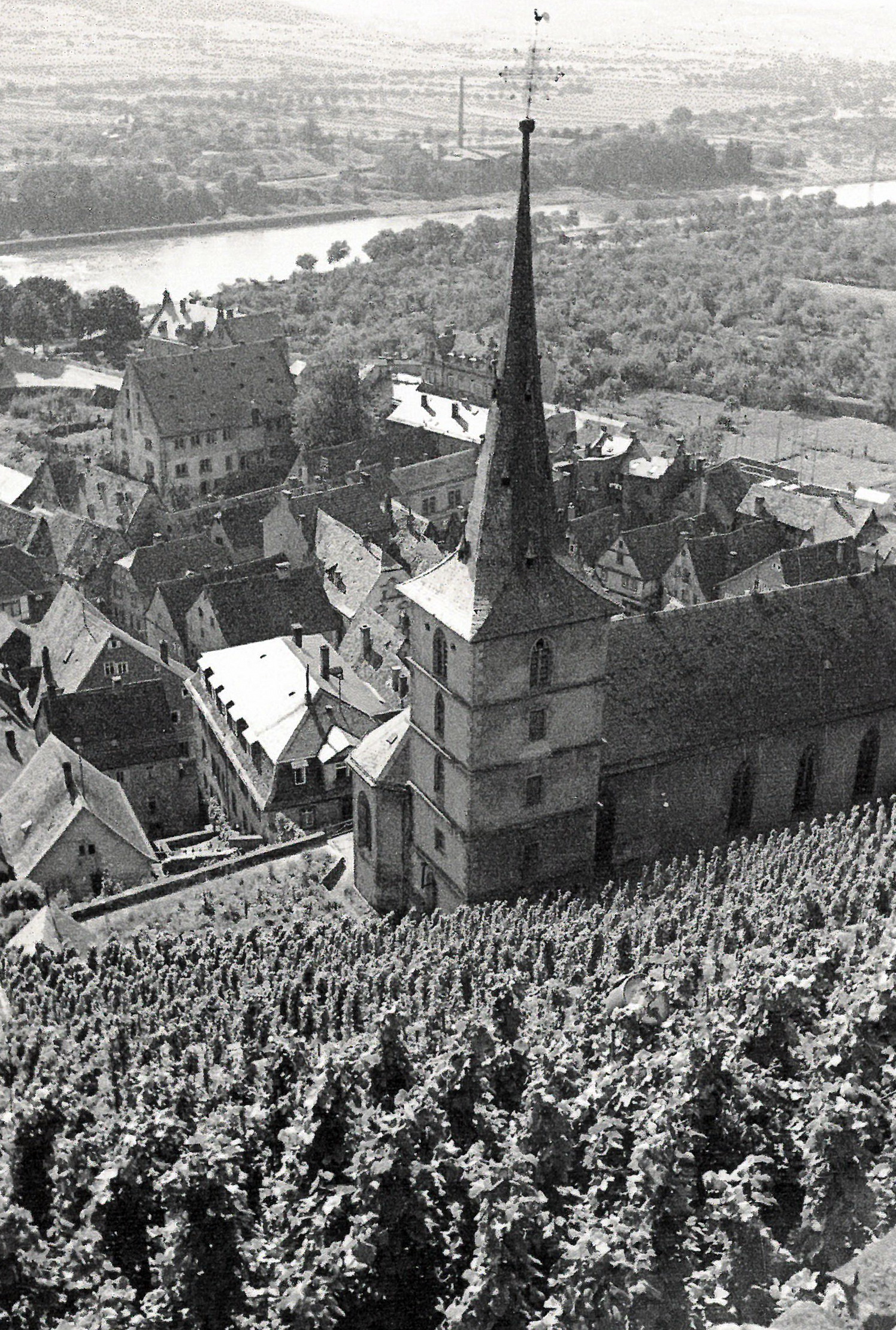 Blick von der Burg auf Kirche und Schloss