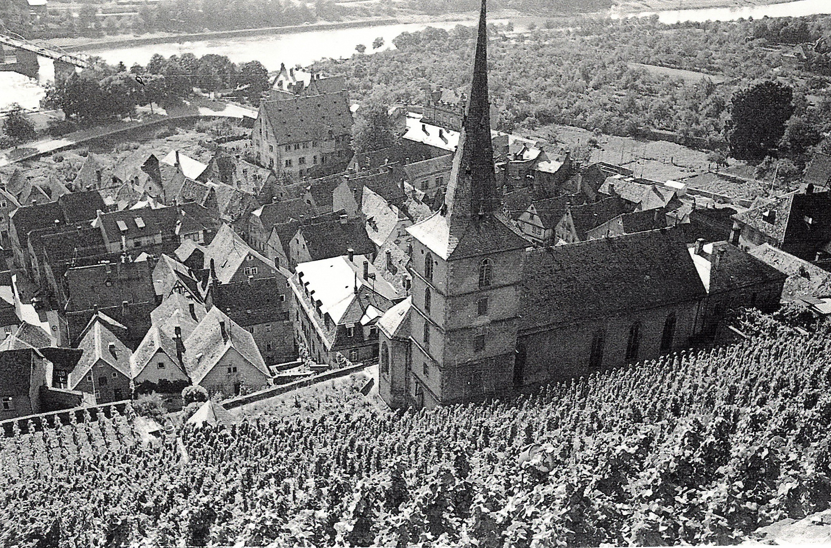 Blick von der Burg auf Kirche, Schloss und Main