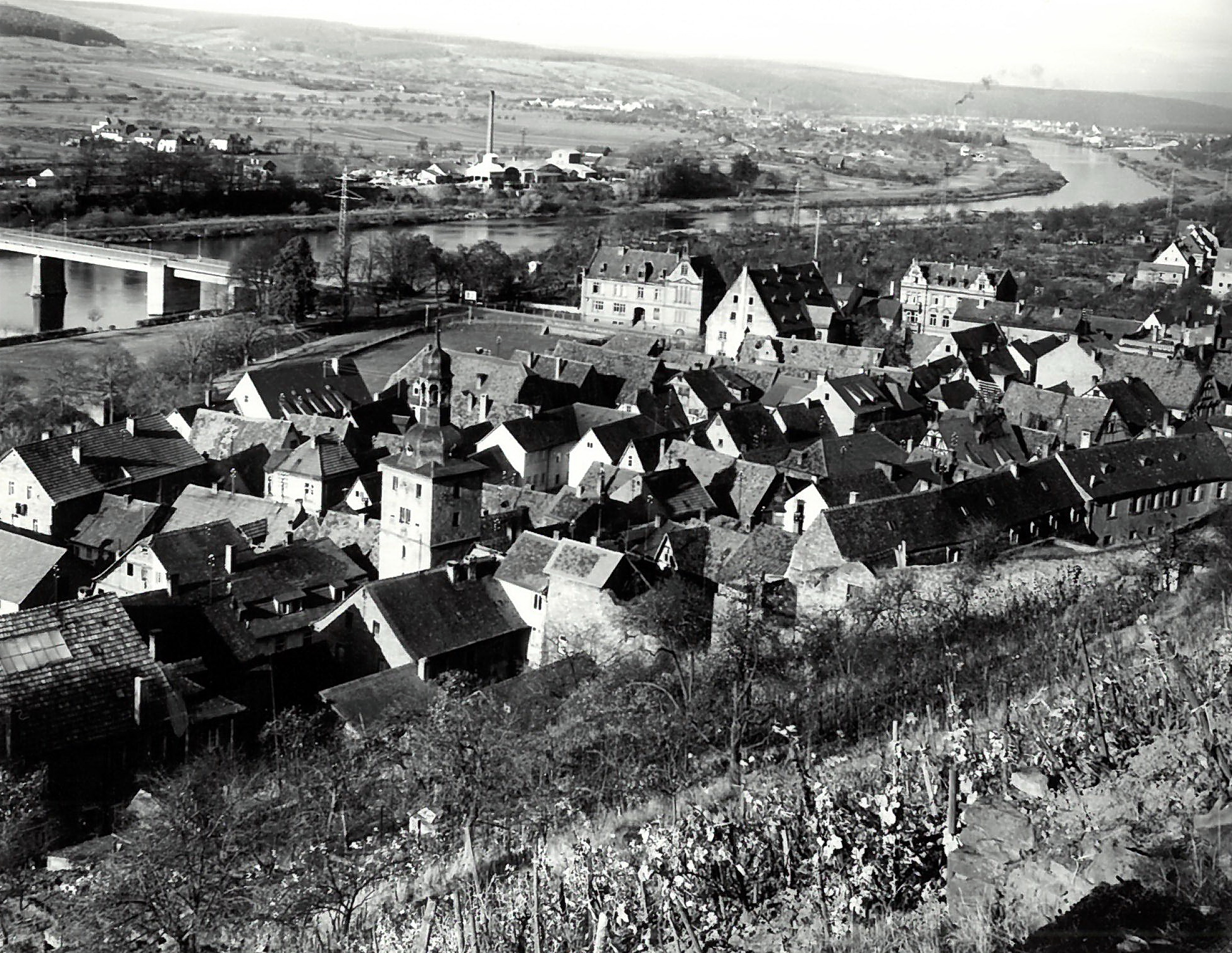 Blick vom Schlossberg auf den Main