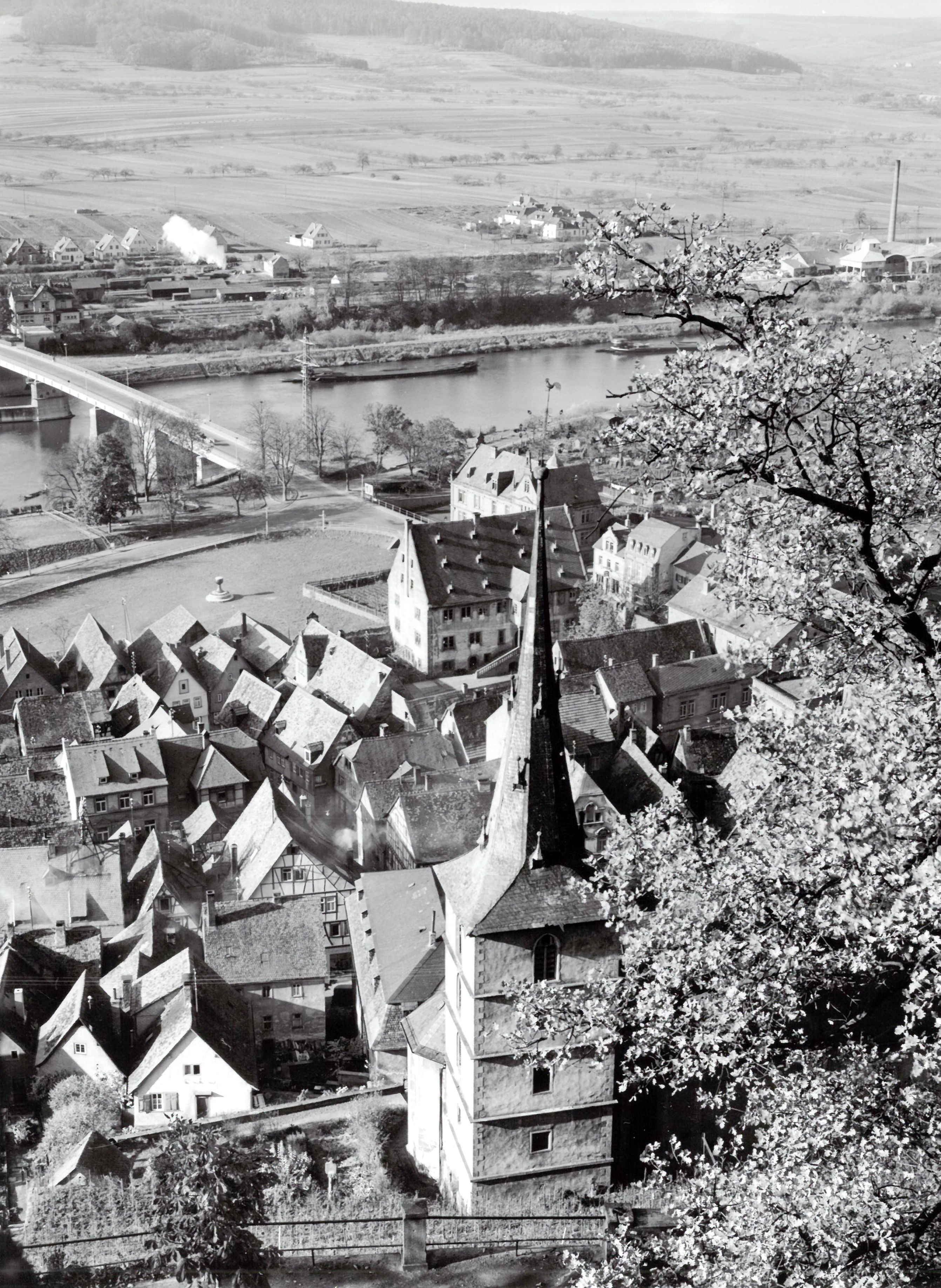Blick von der Burg auf Main und Altstadt