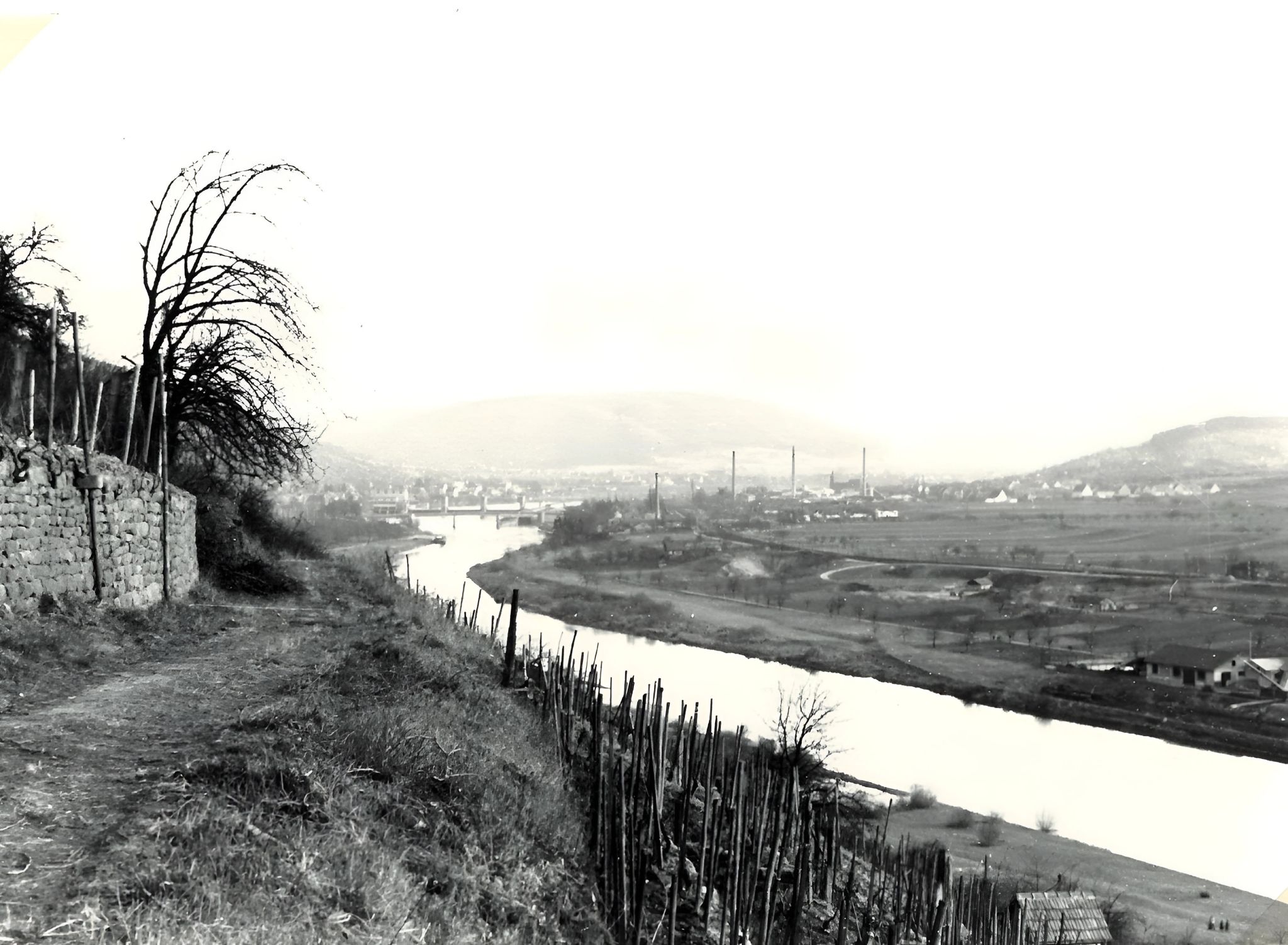 Blick vom Erlenbacher Weinberg nach Klingenberg