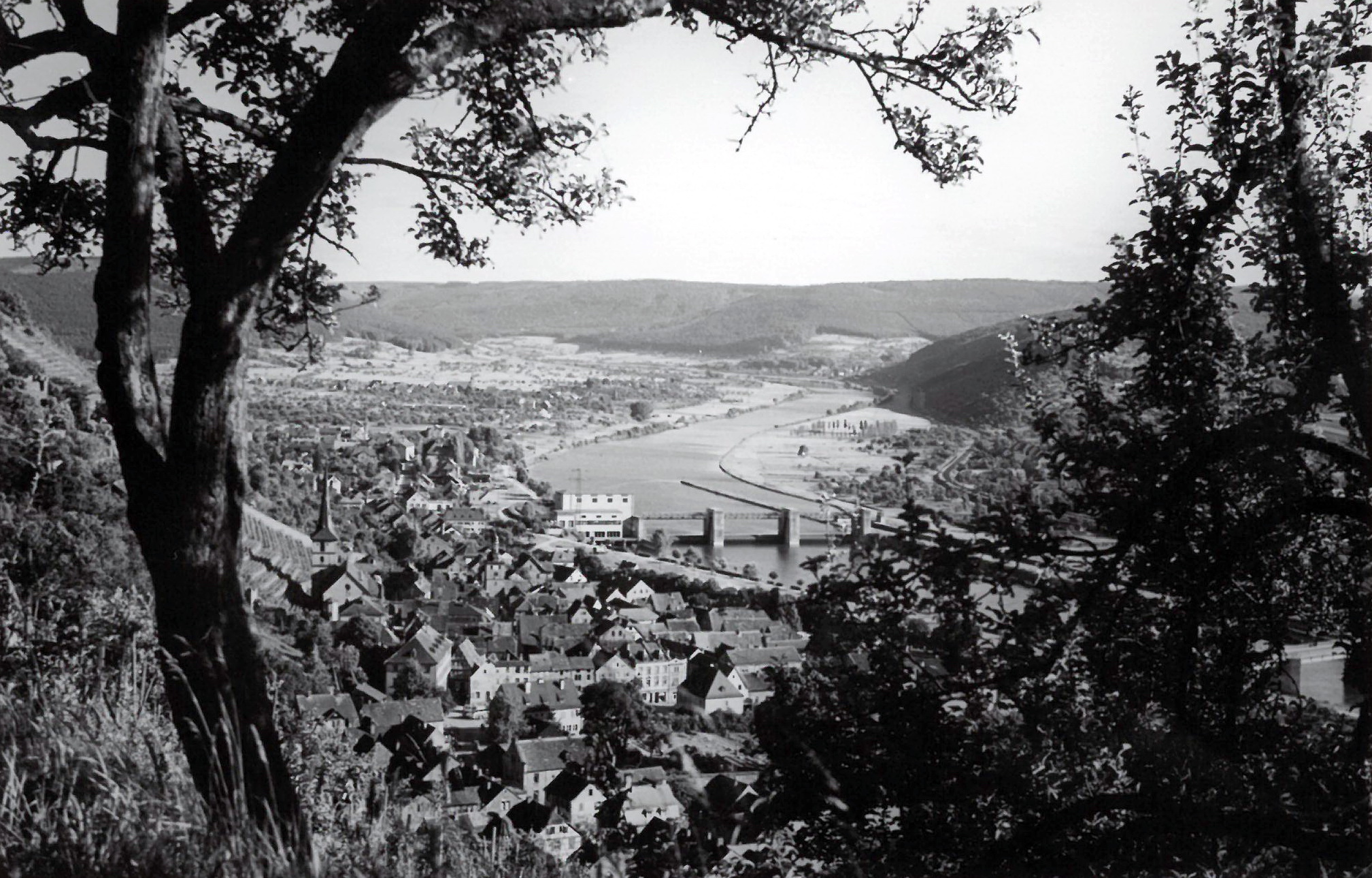 Blick vom Hohberg auf den Main und die Staustufe