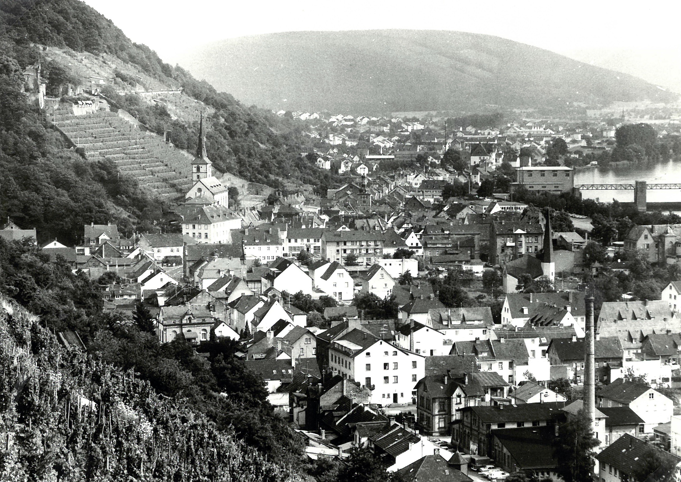 Blick vom Hohberg auf Klingenberg