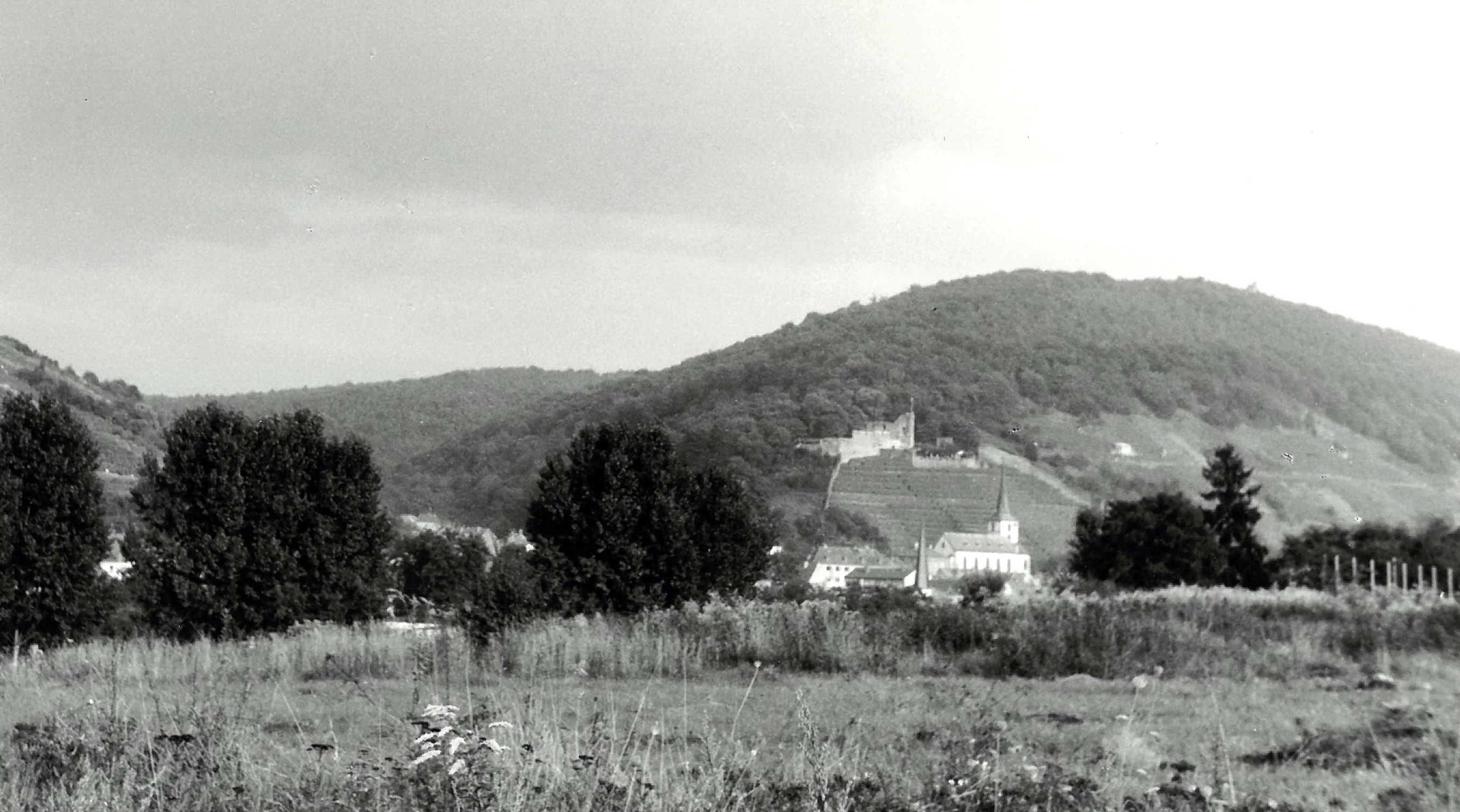 Panoramablick von Wörth nach Klingenberg