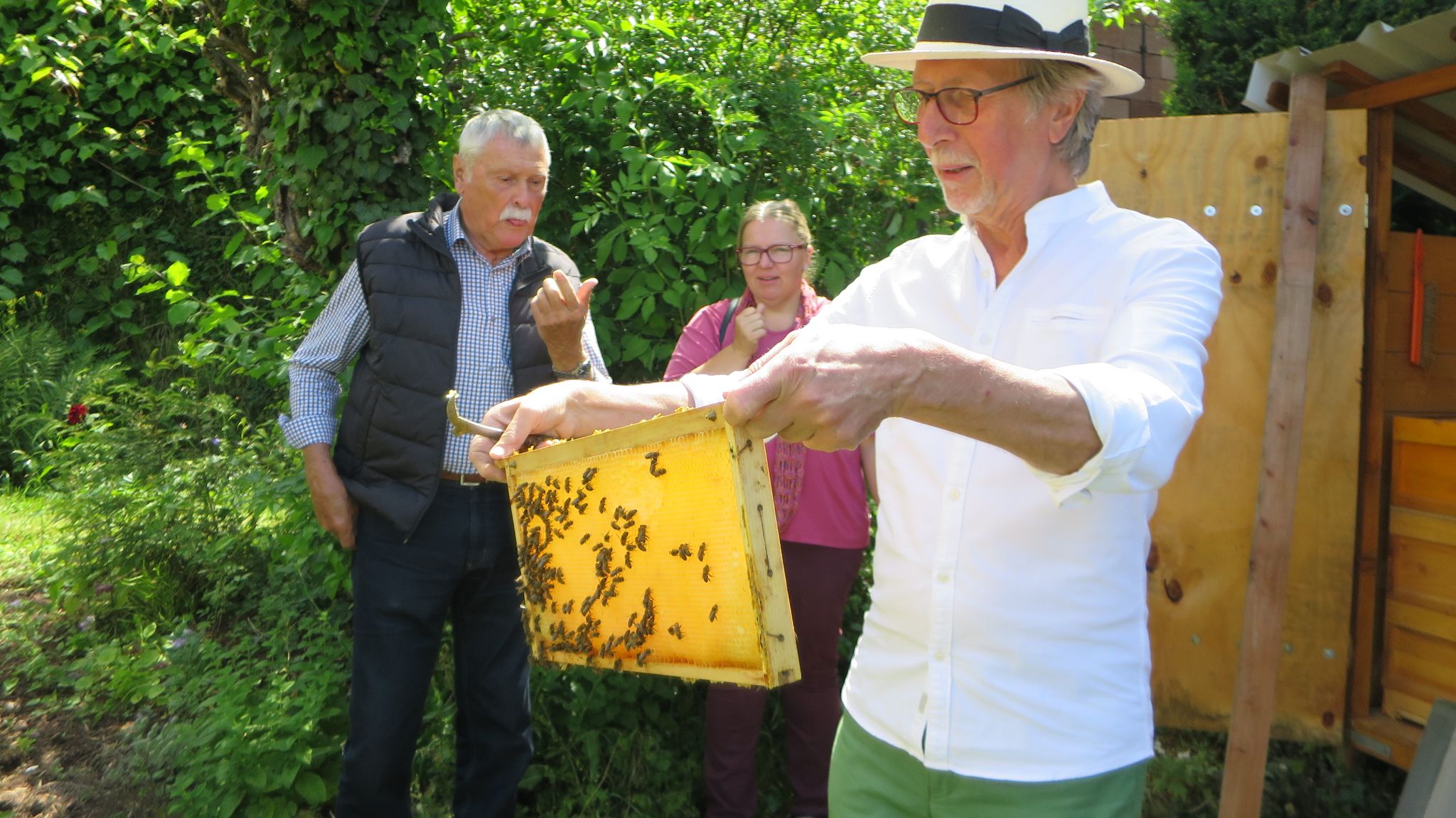 Peter Schäfer zeigt uns das Innenleben eines Bienenstocks