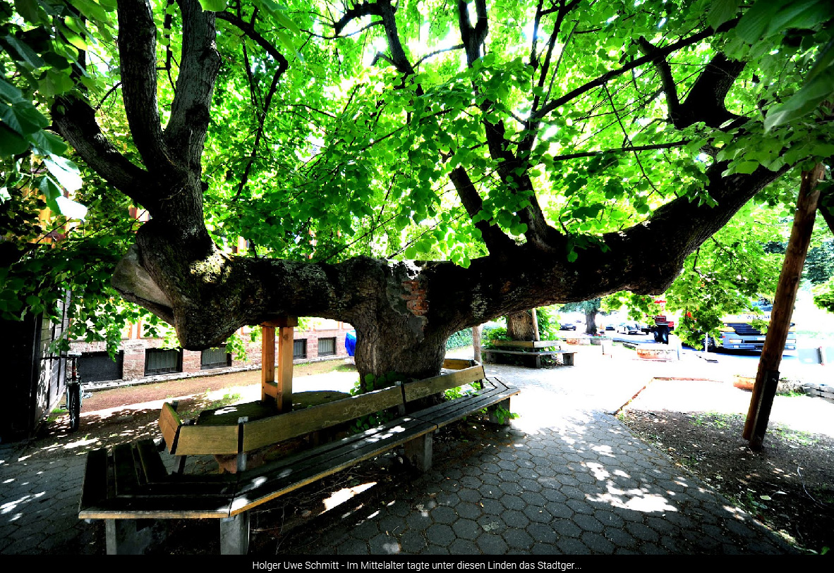 Sitzgelgenheit unter der Gerichtslinde