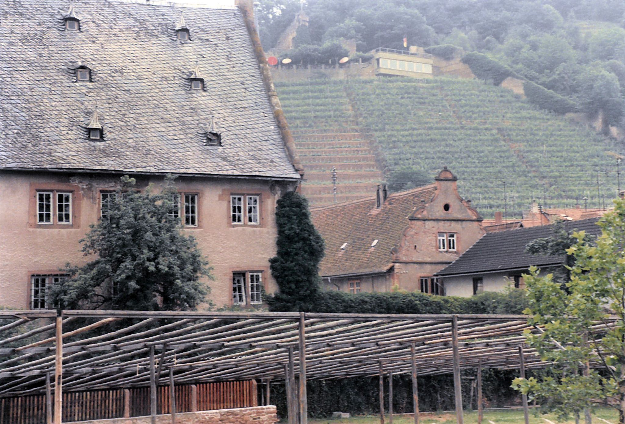 Der Winzerfestplatz mit Zeltgerüst für das Festzelt des Winzerfestes