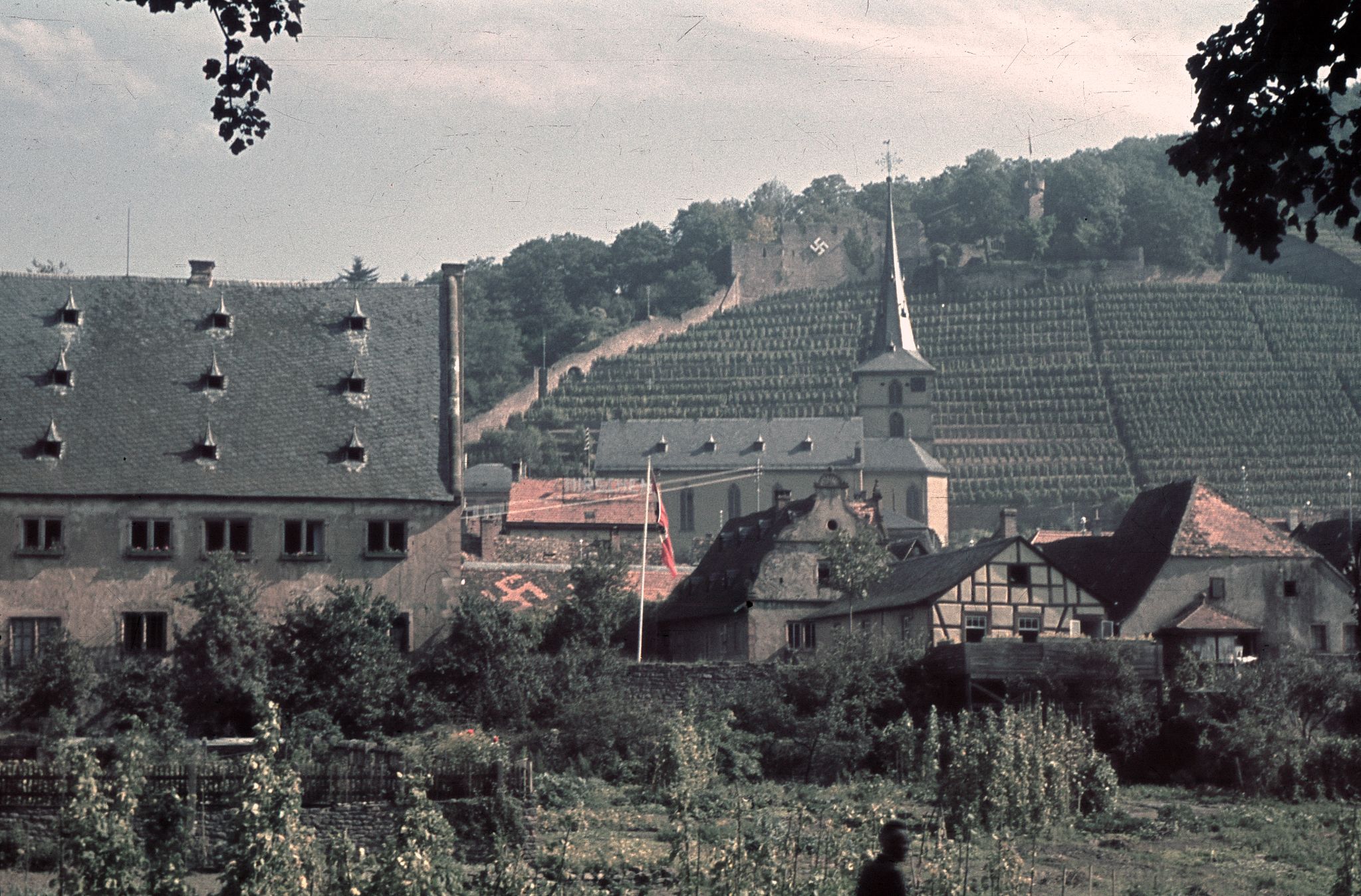 Die Lindenflecken um 1939