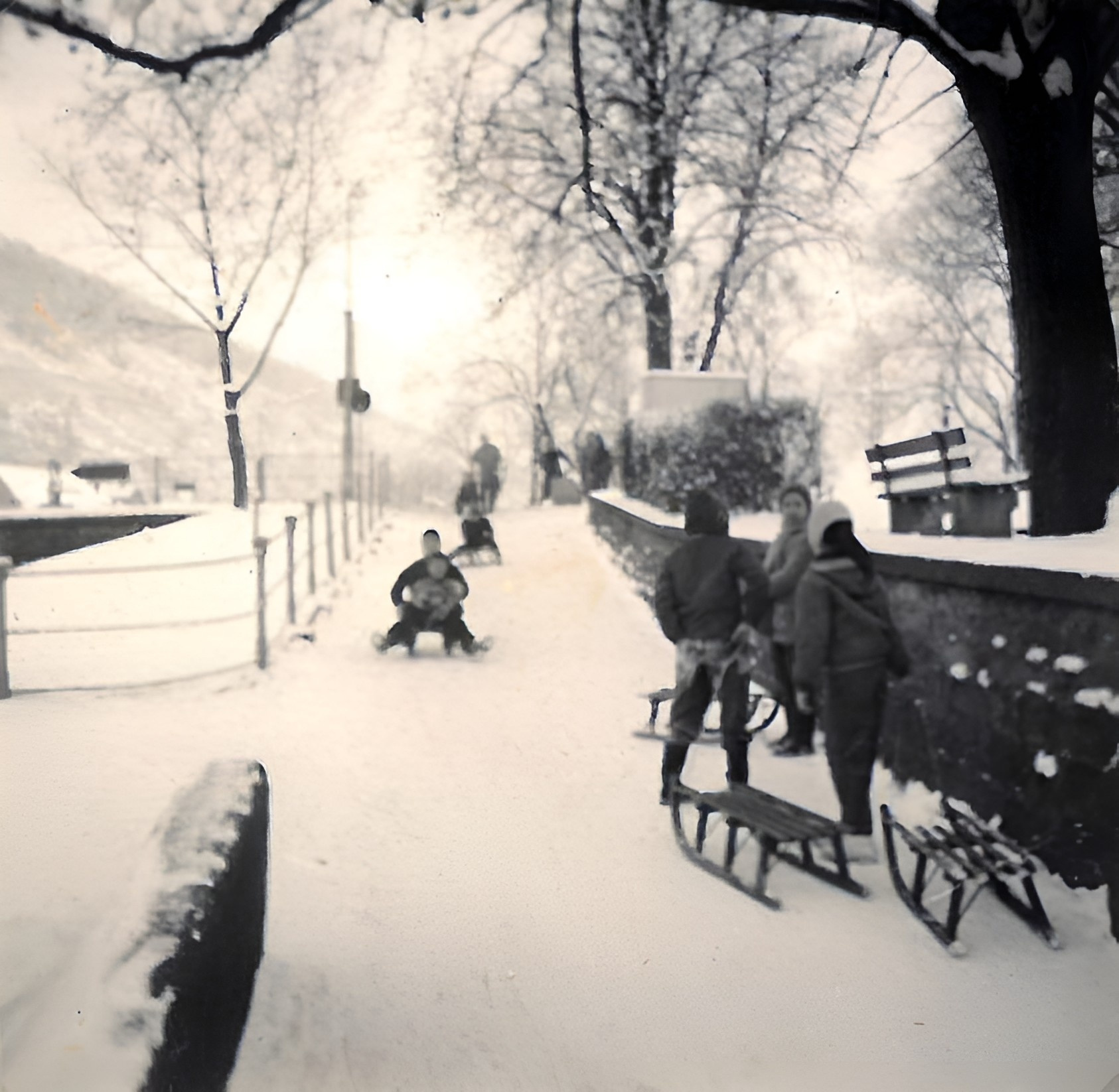 Schlittenfahren auf dem Maindamm 1957