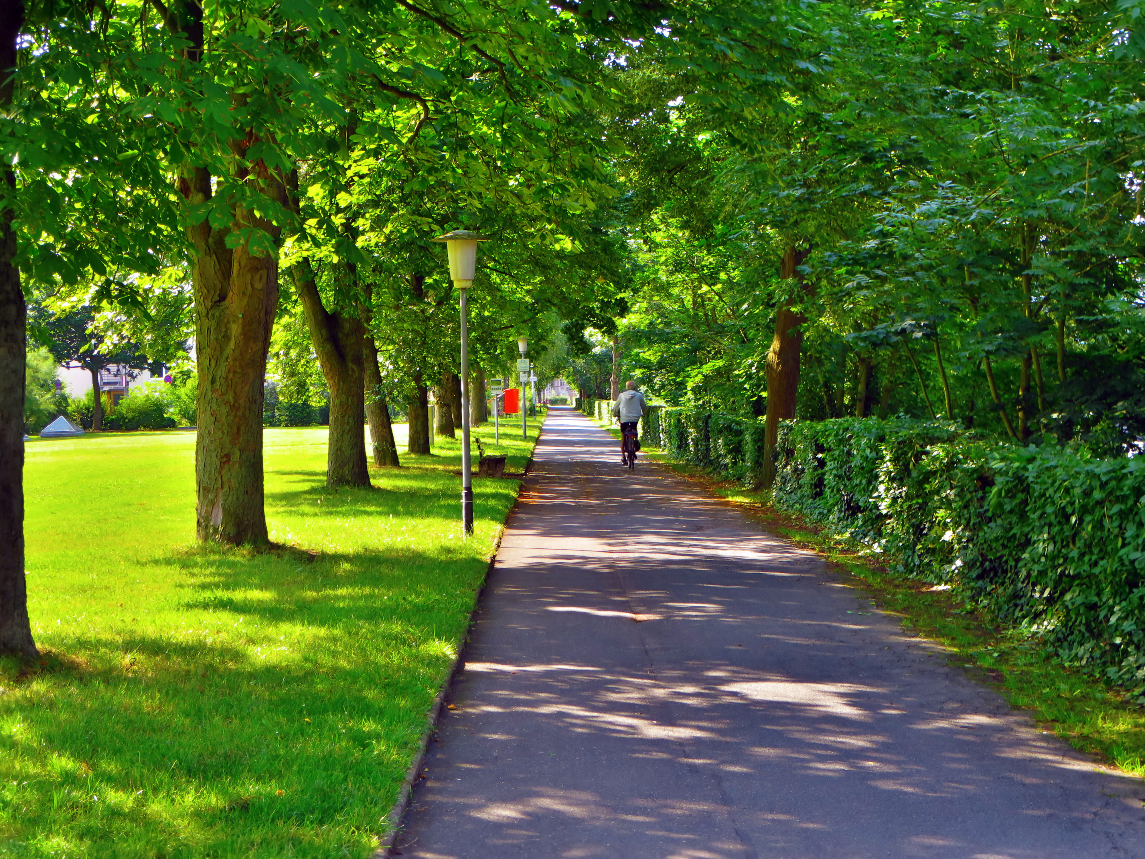 Der Weg auf dem Maindamm