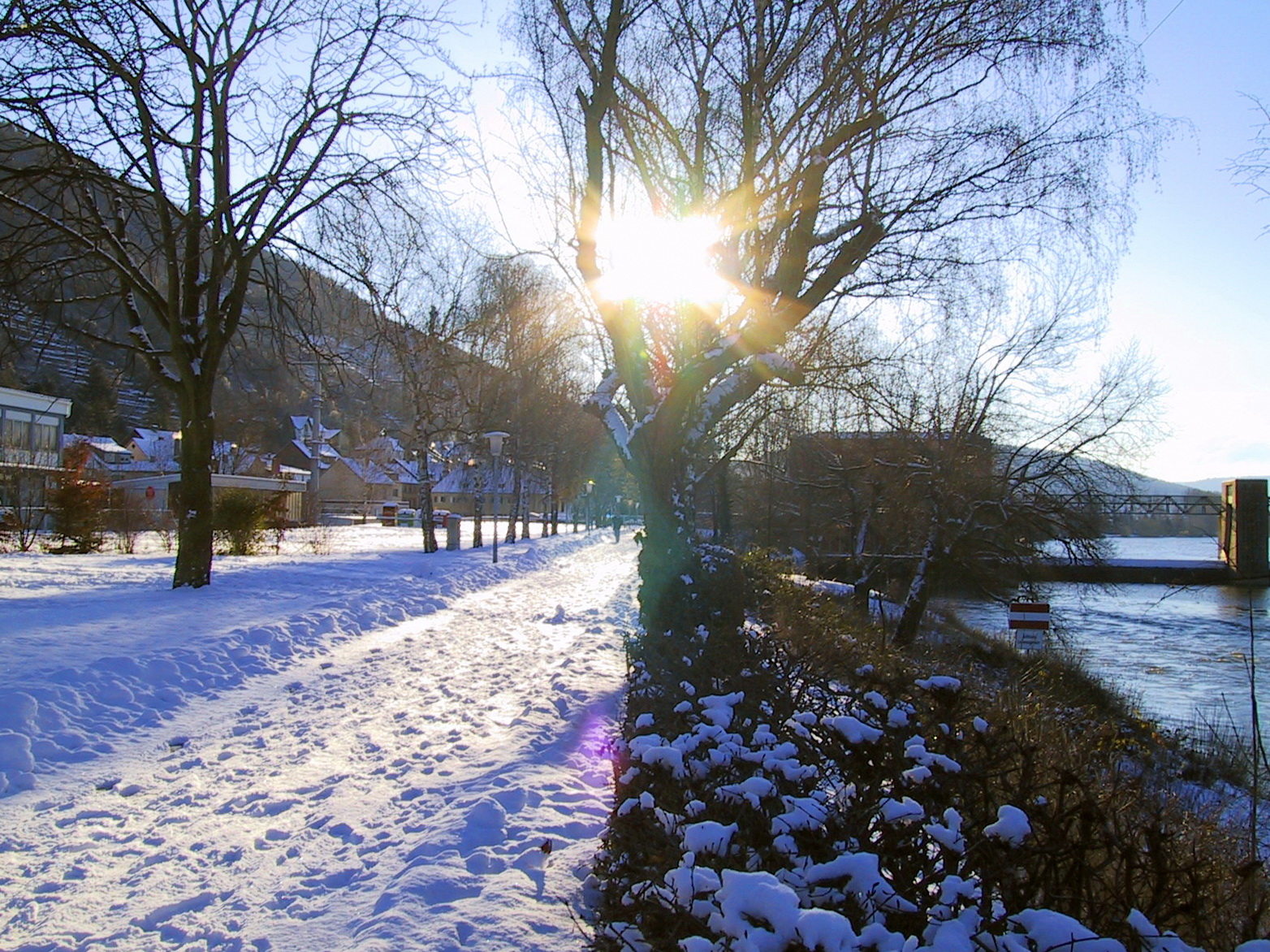 Der Weg auf dem Maindamm