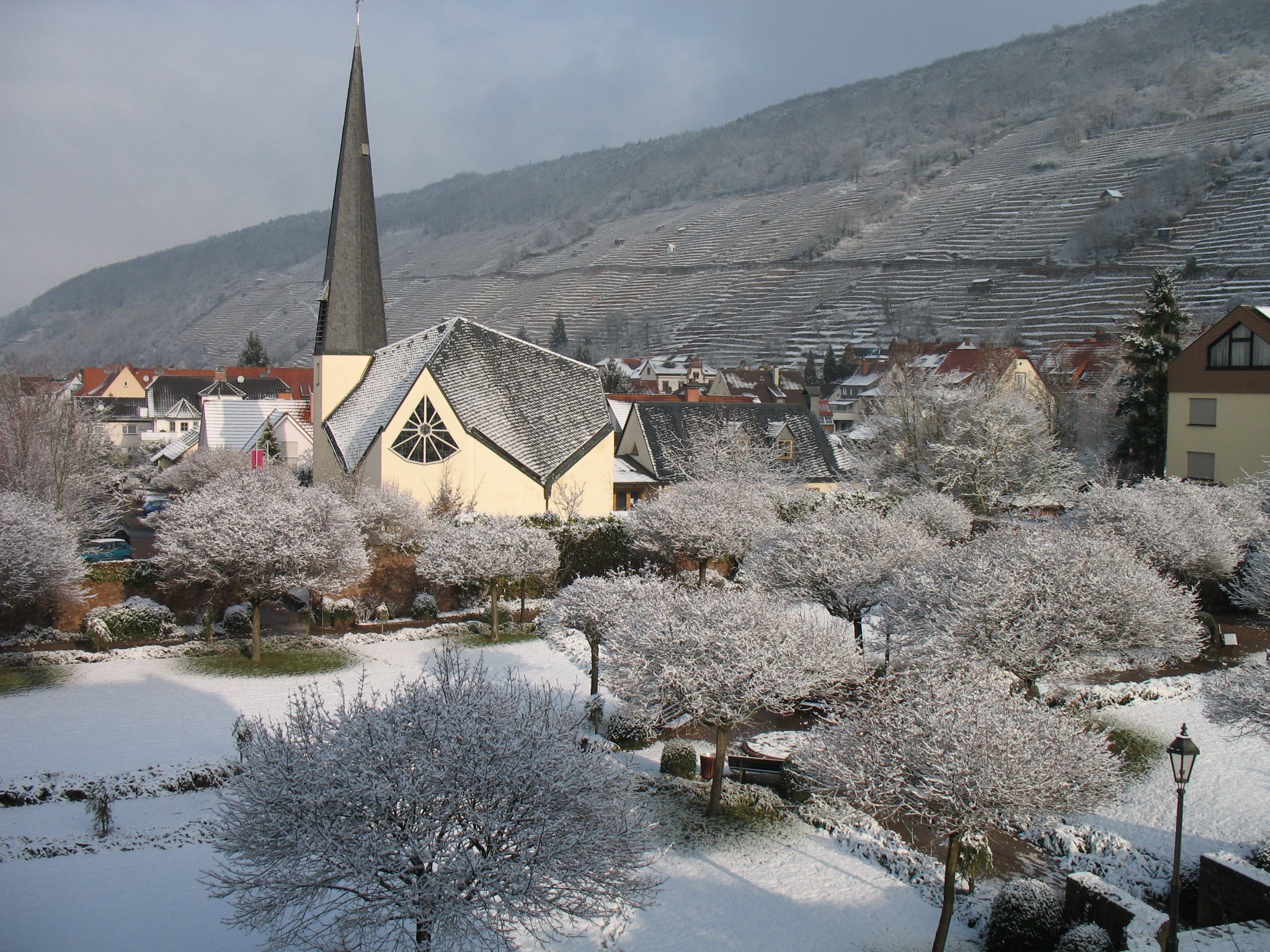 Der Rosengarten im Winterkleid am 14.02.2009