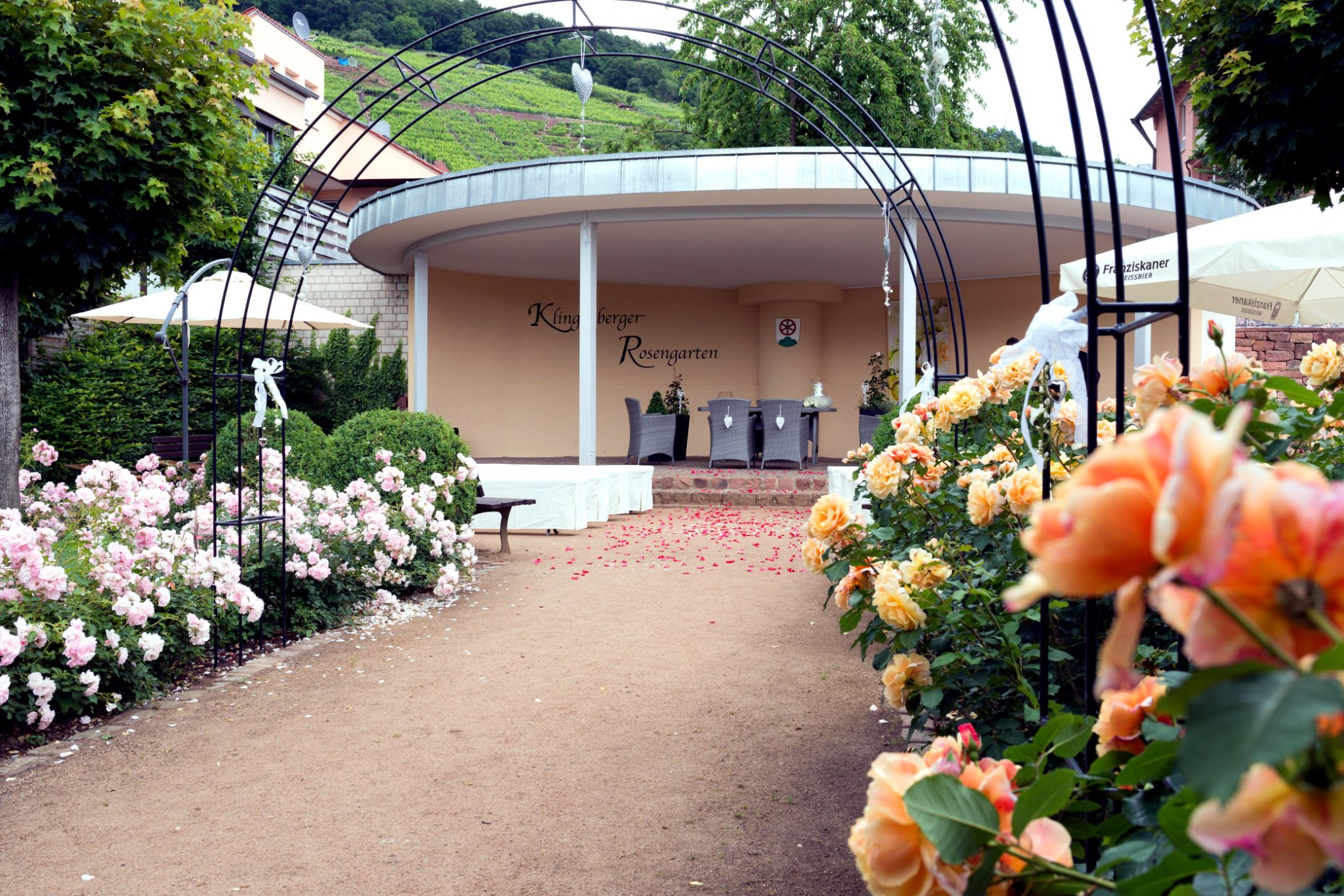 Der Rosengarten 2016