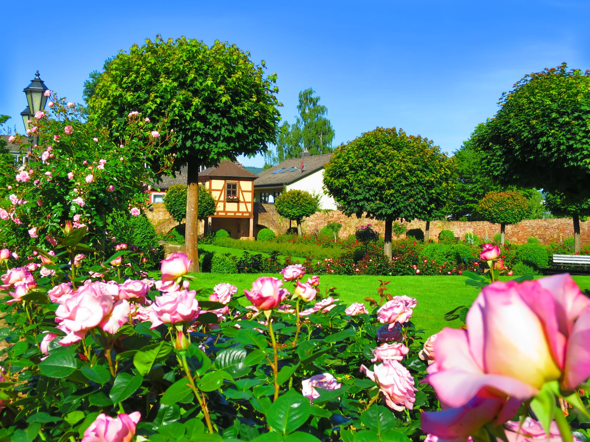 Der Rosengarten am 02.06.2019