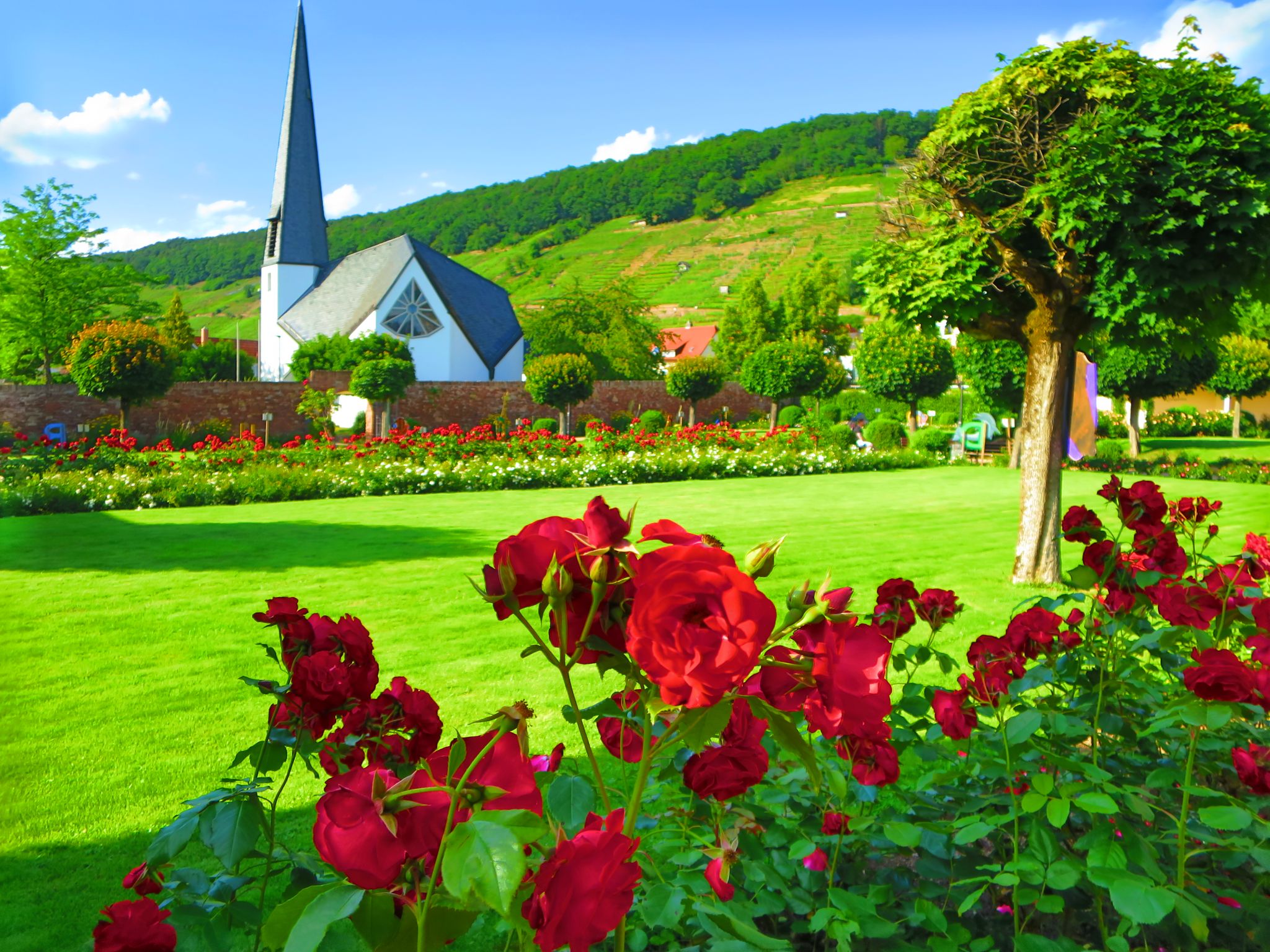 Der Rosengarten am 11.06.2022