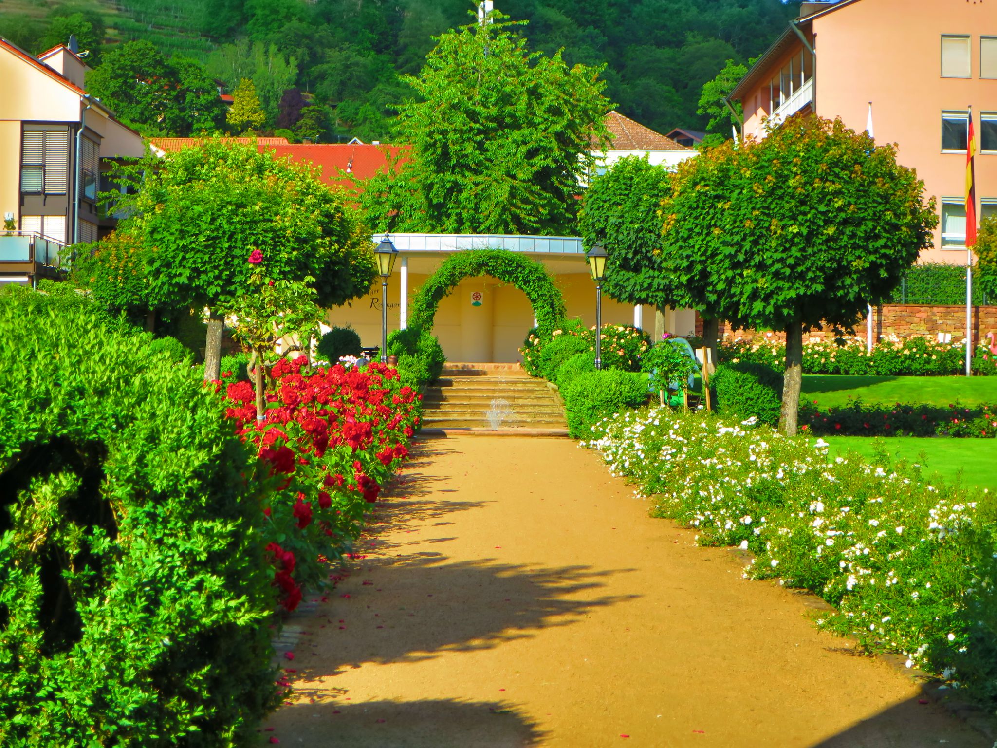 Der Rosengarten am 11.06.2022