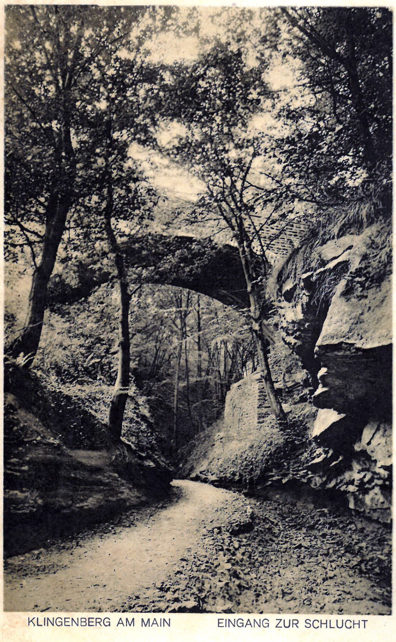 Ansichtskarte der Klingenberger Seltenbachschlucht