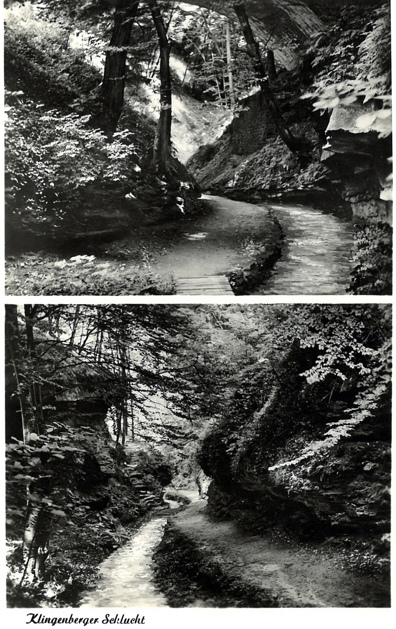 Ansichtskarte der Klingenberger Seltenbachschlucht