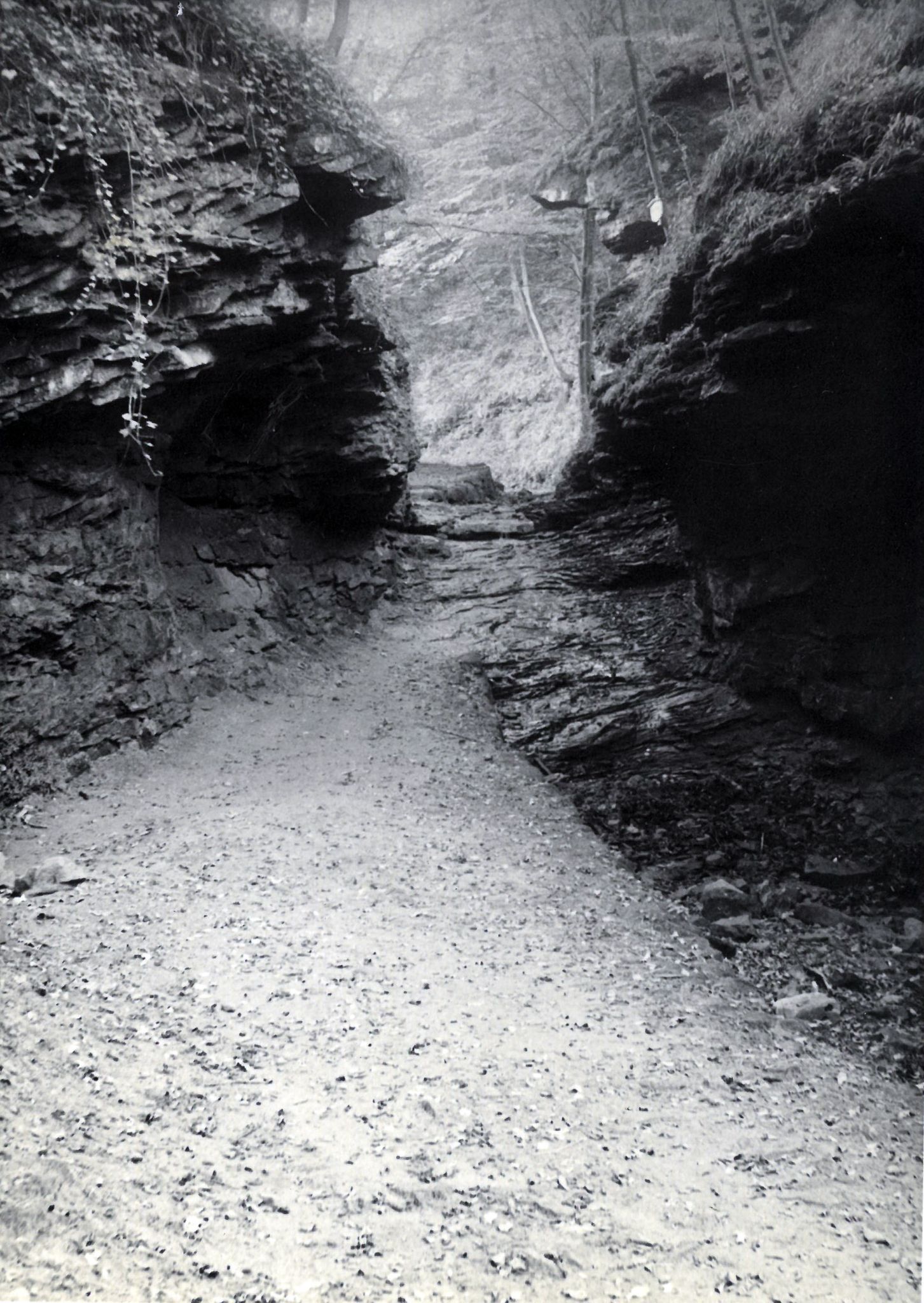 Wegverlauf durch eine Engstelle in der Klingenberger Seltenbachschlucht