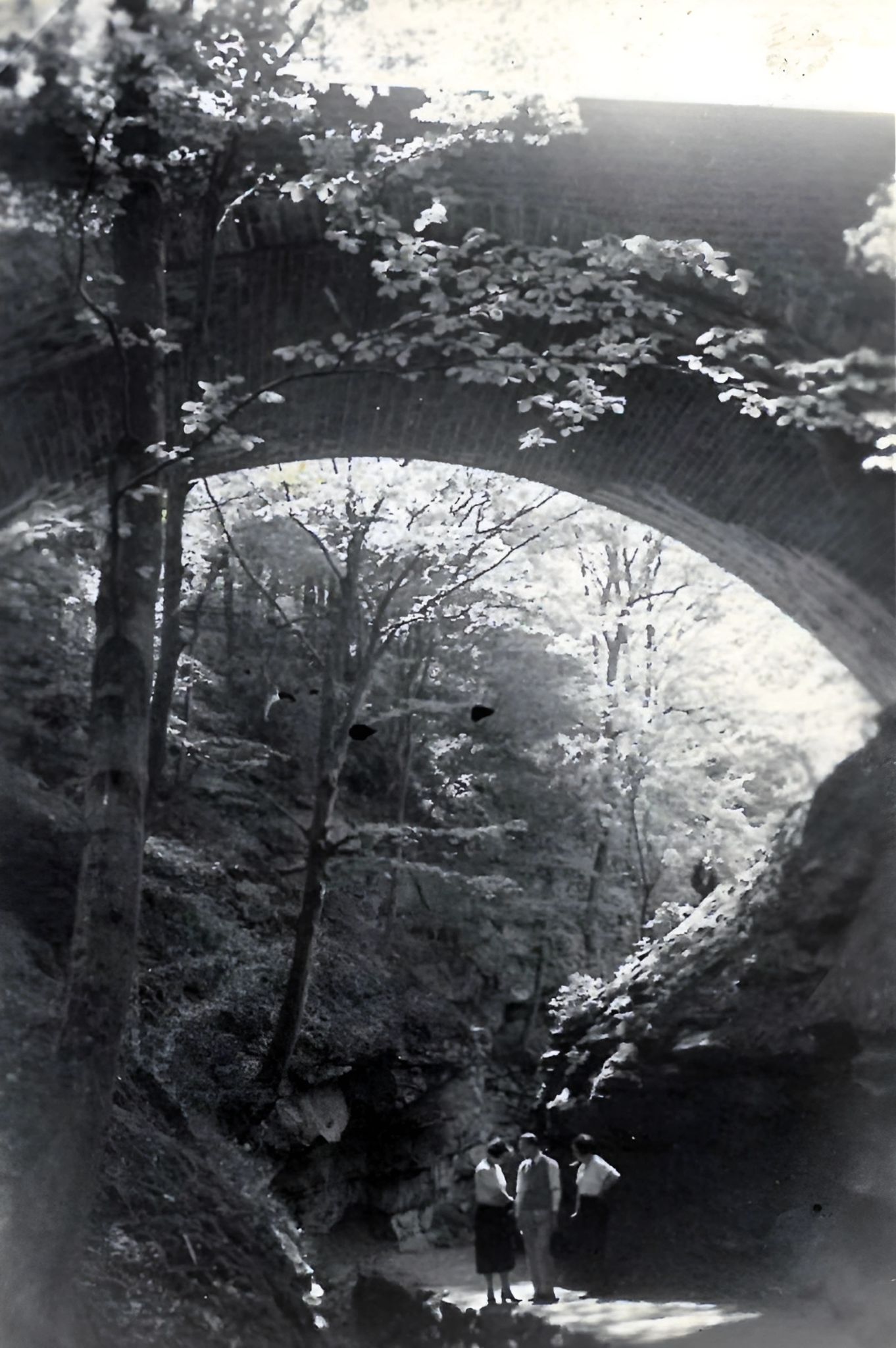 Unterhalb der Brücke zur Clingenburg