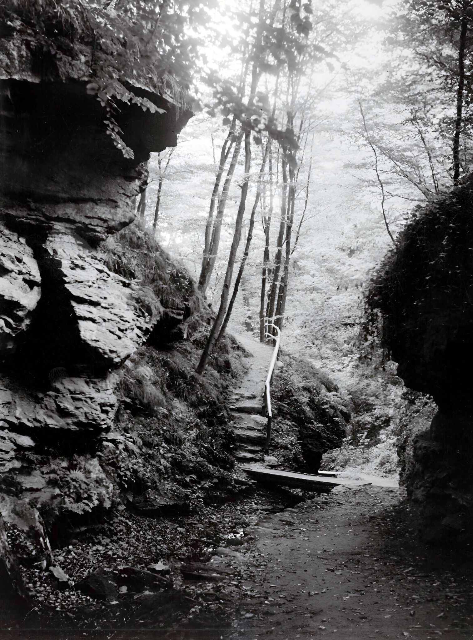 An der Abzweigung des Aufstiegs zur Clingenburgstraße