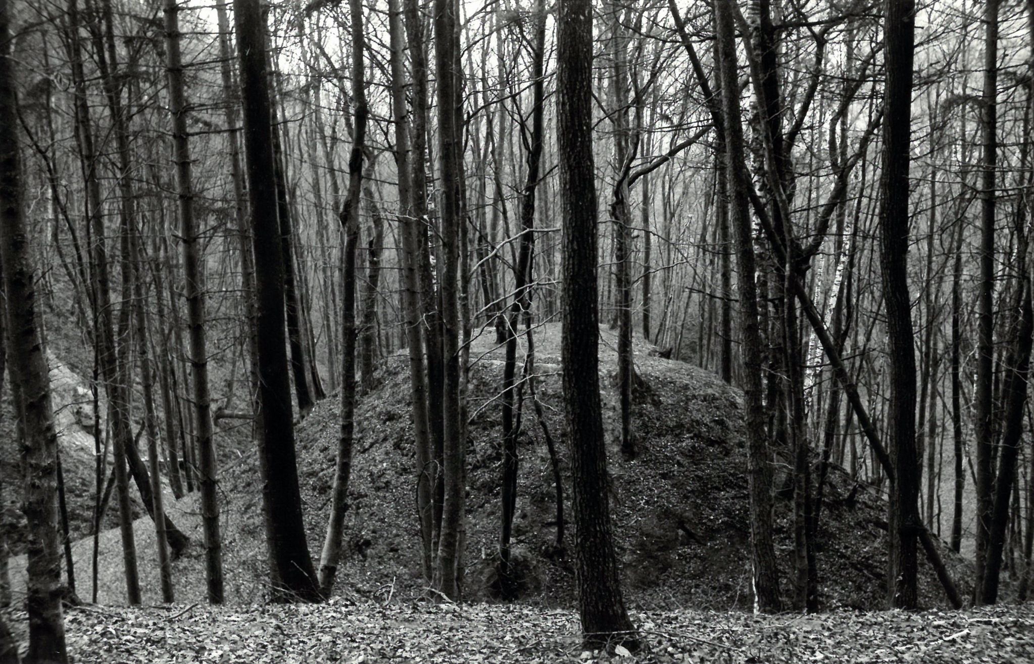 In der Heunenschlucht (Seitenarm des Seltenbachs)