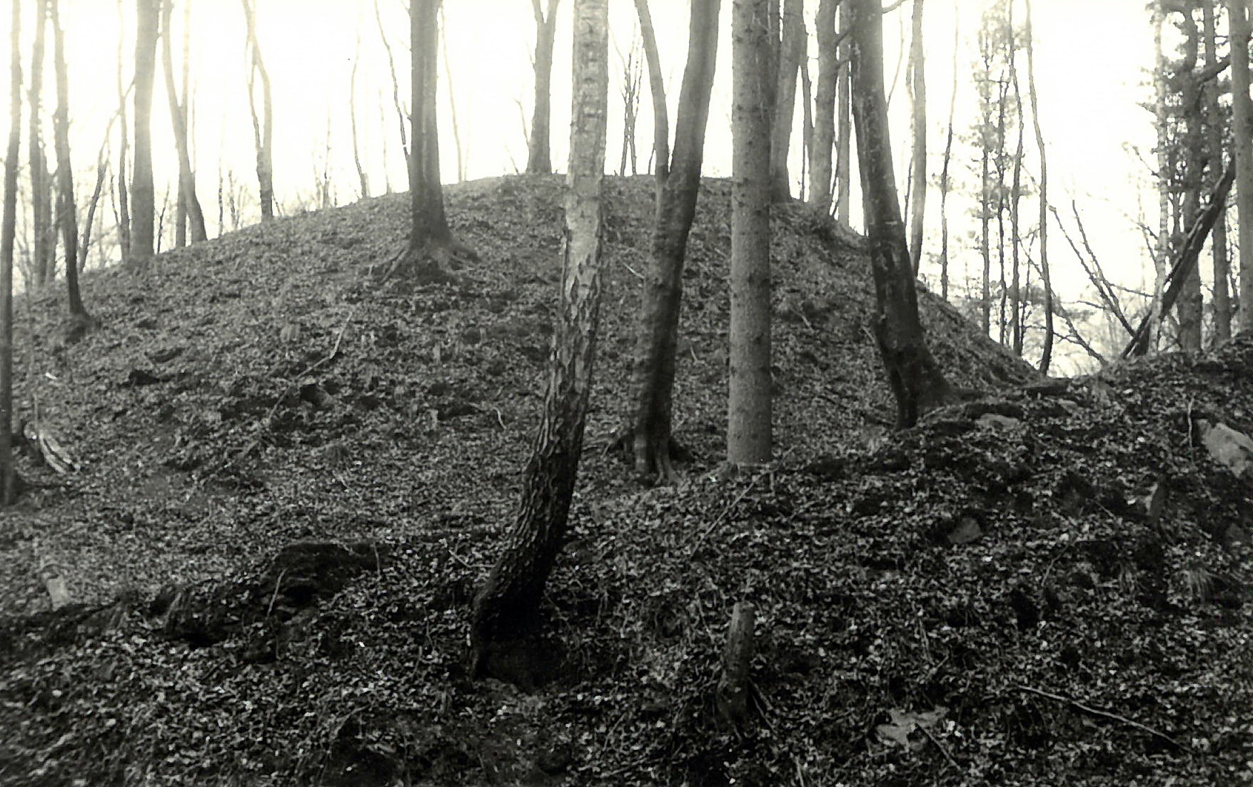 In der Heunenschlucht (Seitenarm des Seltenbachs)