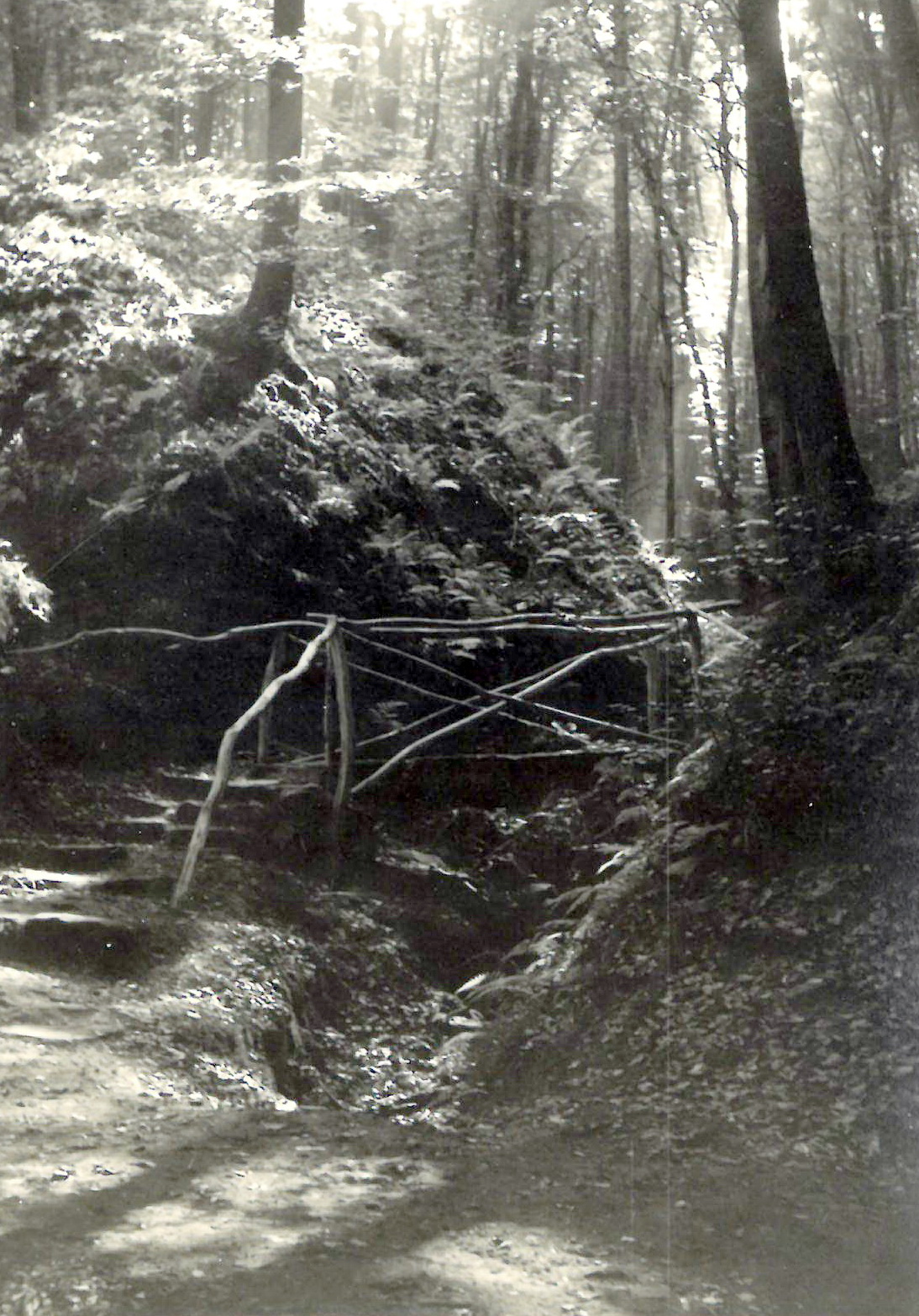 An der Abzweigung zur Heunenschlucht