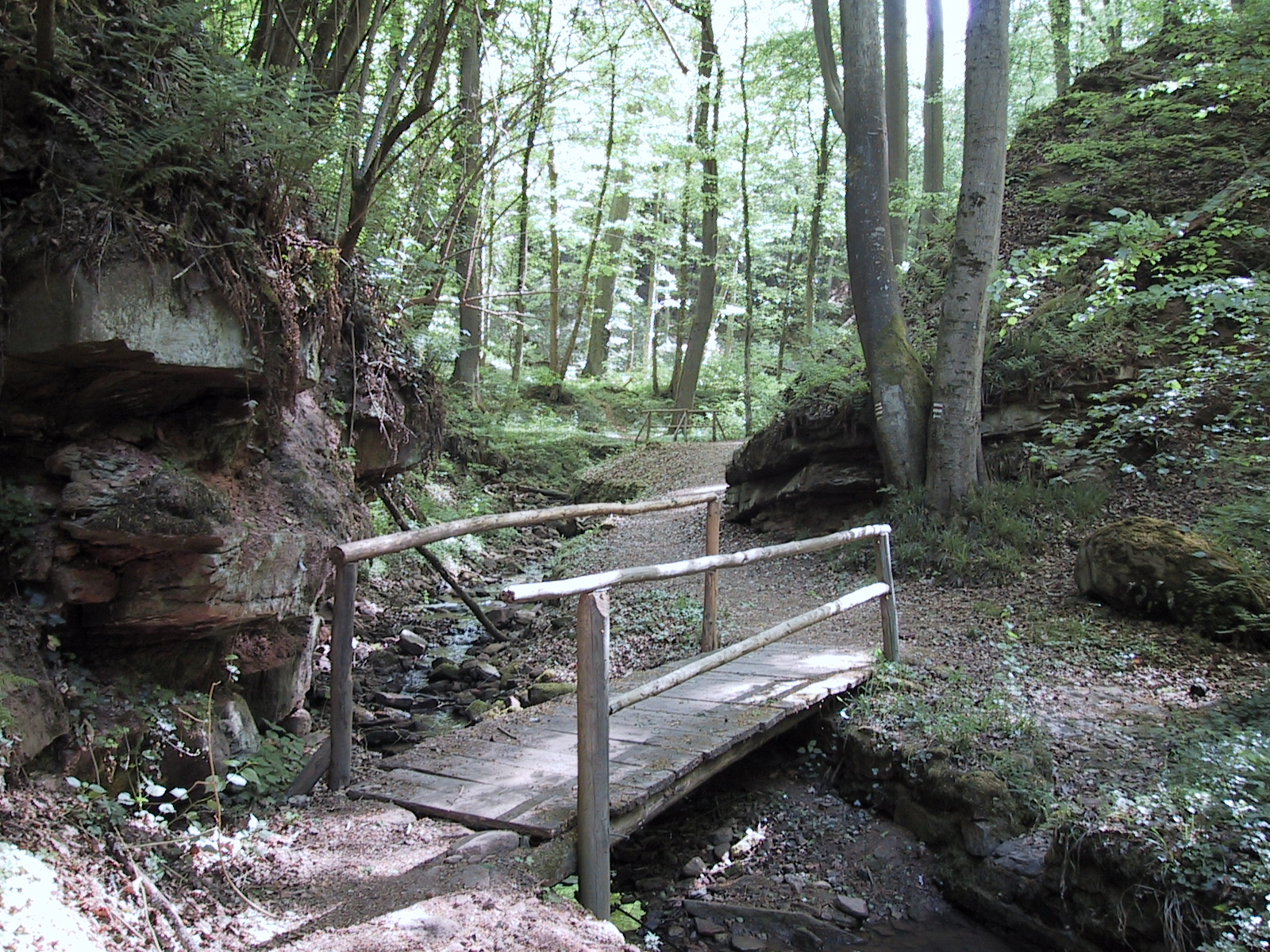 Kleine Brückchen sorgen für Abwechslung in der Wegstrecke